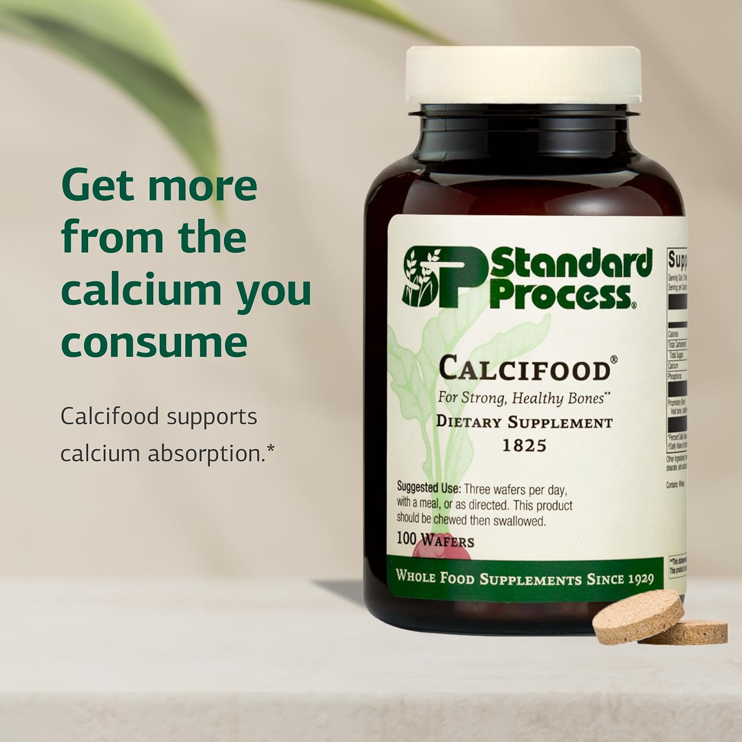 Standard Process Calcifood - Calcium Supplement for Bone Strength & Calcium Absorption - Bone Health Support for Women & Men - Non-Dairy & Non-Soy