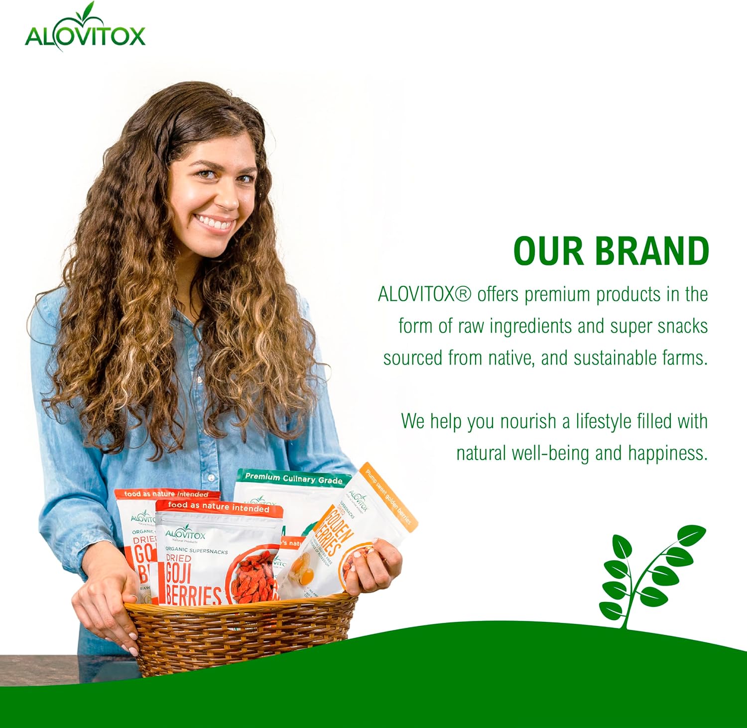 Alovitox Beet Root Powder: USDA Organic, Nitric Oxide Boost, Fuels Workouts