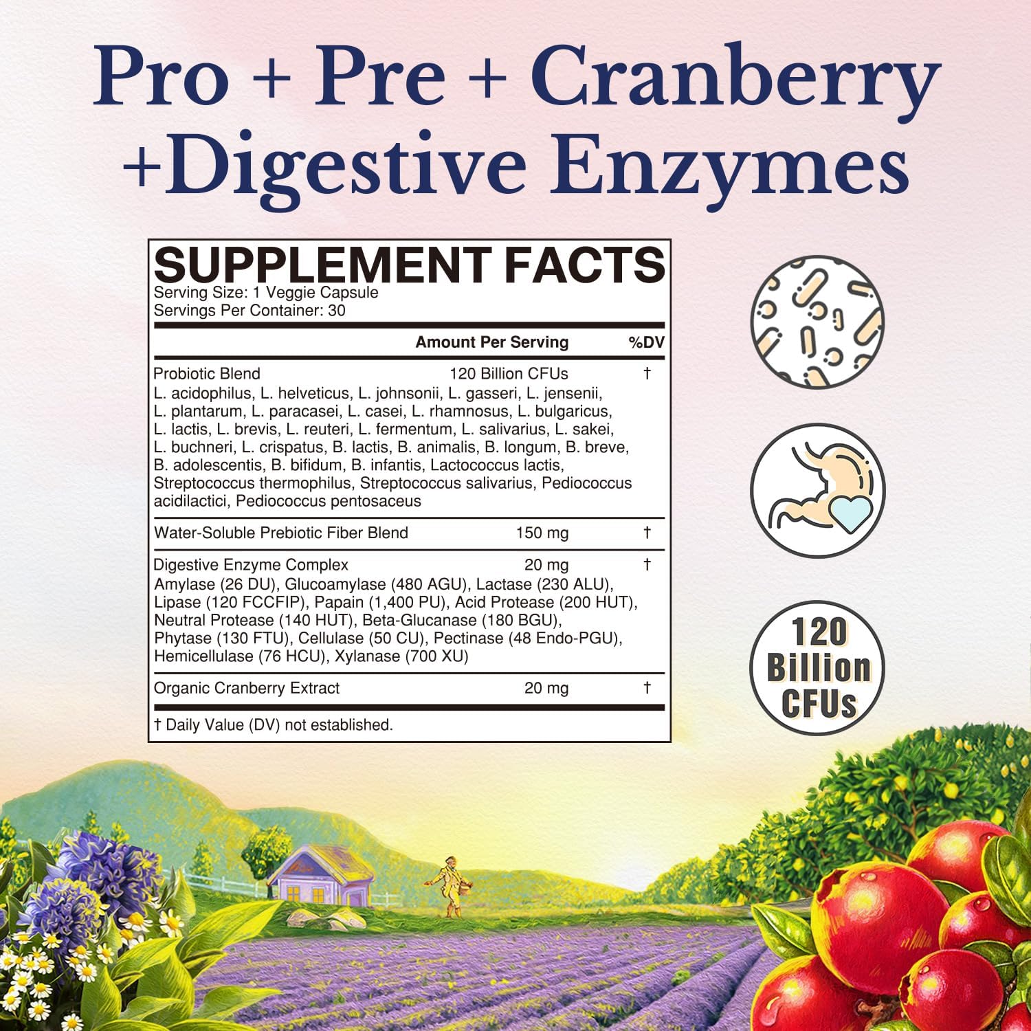 Vitalitown Probiotics for Women 120 Billion CFUs, 30 Strains, with Prebiotics & Digestive Enzymes & Cranberry, Gut & Vaginal Health