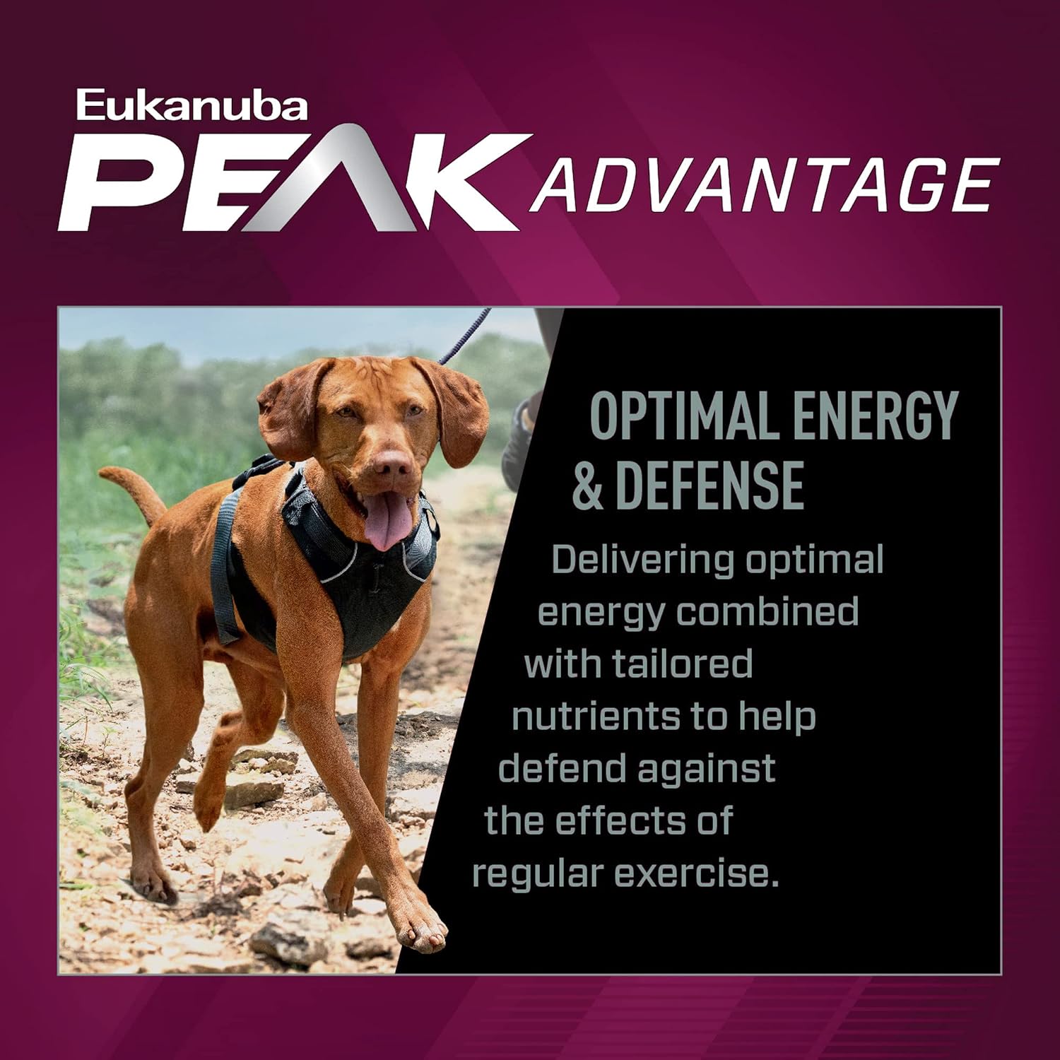 Eukanuba Adult Premium Performance 26/16 Exercise Dry Dog Food, 28 lb Bag