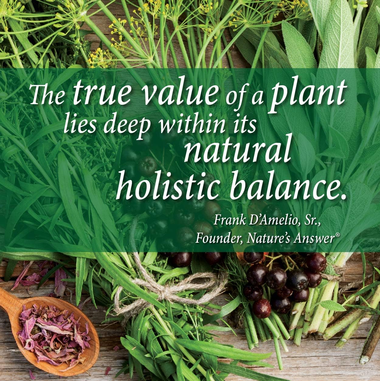Nature's Answer Marine Based Magnesium, Super Concentrated 500mg | Plant Based | Red Algae & Seawater Derived | Alcohol-Free & Gluten-Free | Vegetarian Capsules 90ct