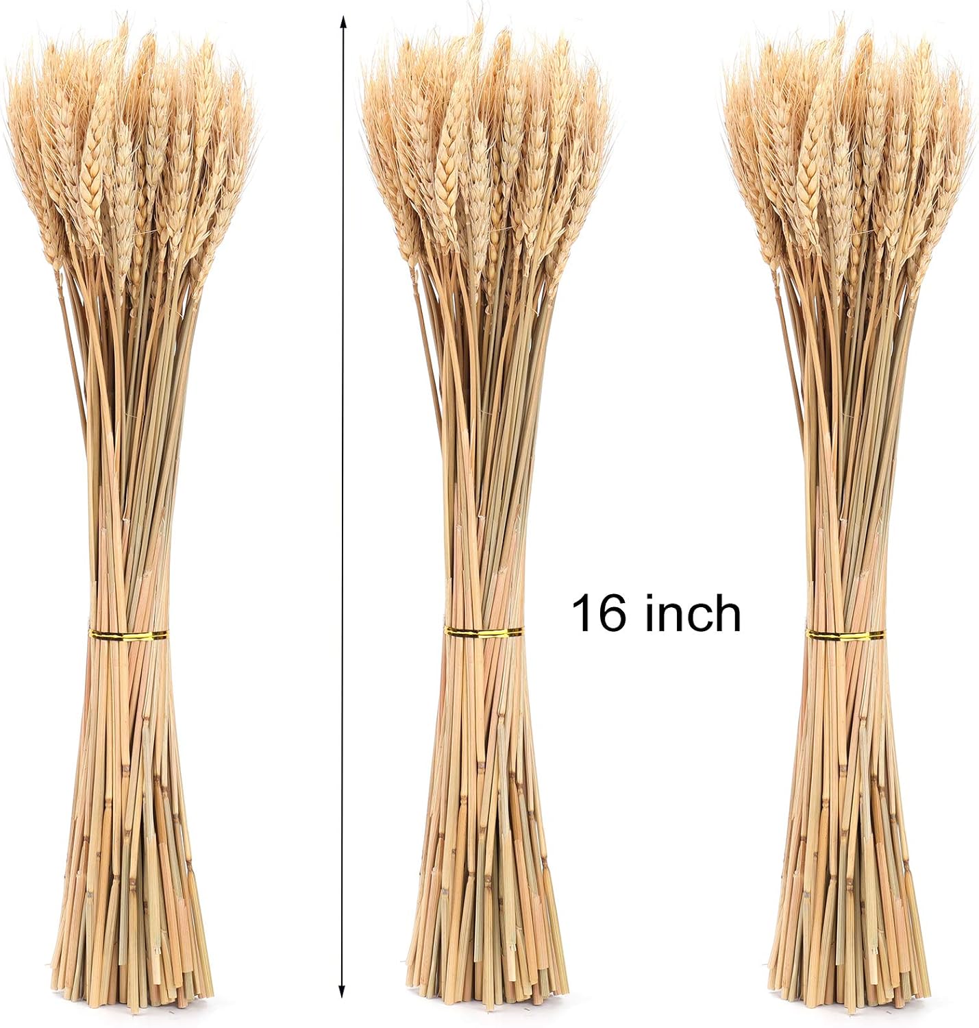 Yarlung 300 Stems Dried Wheat Stalks, 16 Inch Natural Wheat Sheaves Fall Arrangement for DIY Craft, Home Table, Wedding Decor