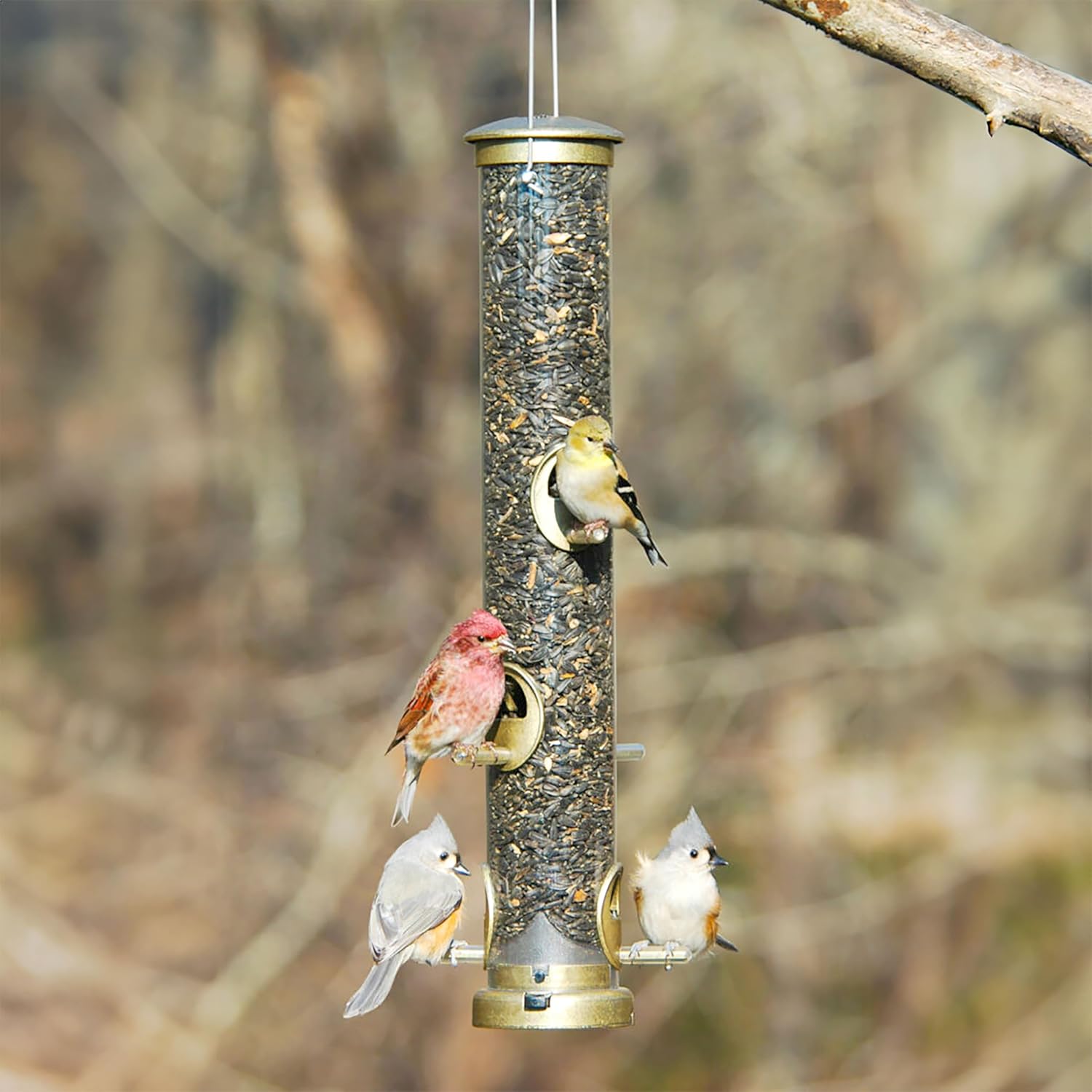 Aspects 395 Quick-Clean Seed Tube Feeder, Medium - Antique Brass