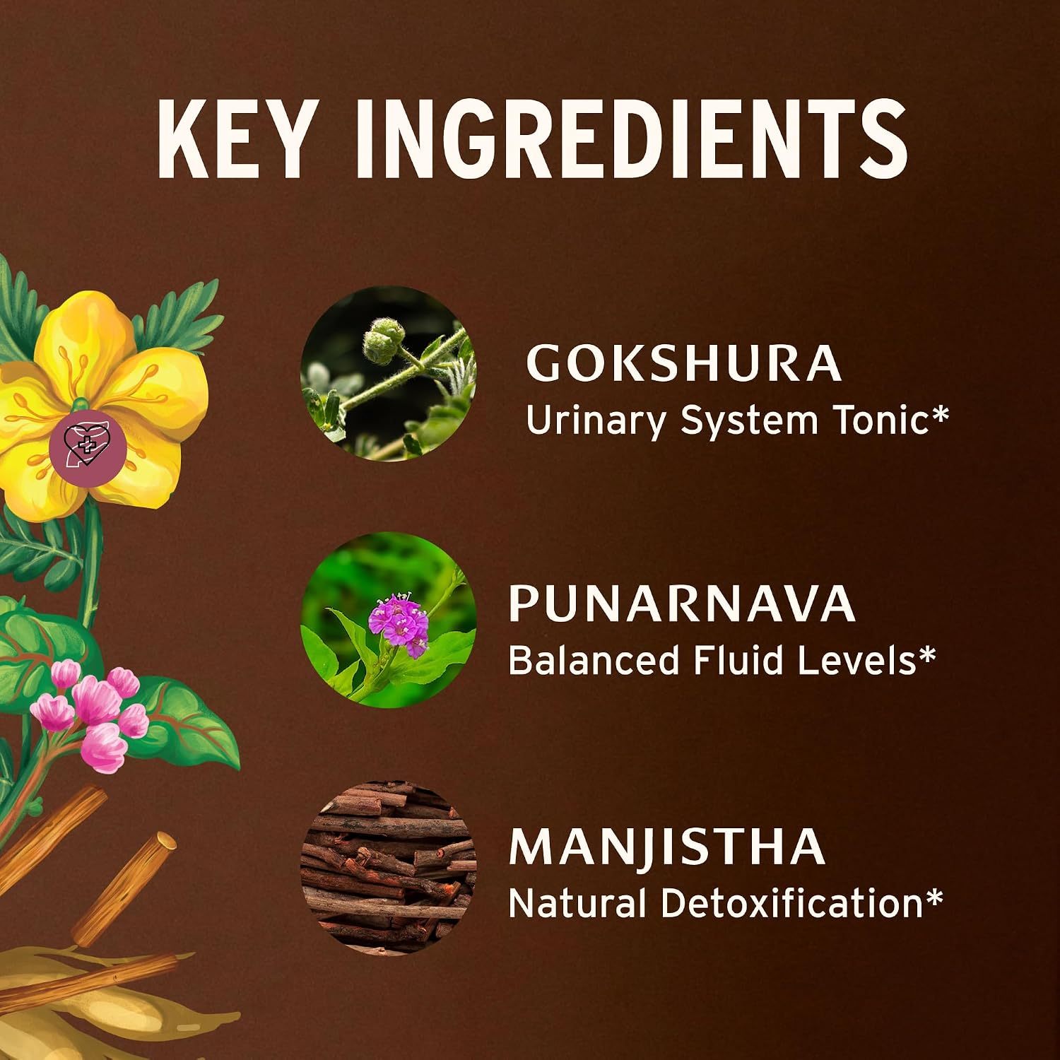 Banyan Botanicals Organic Kidney Formula–Urinary Tract Support & Detox Supplement–Gokshura & Punarnava for Fluid Balance & Systemic