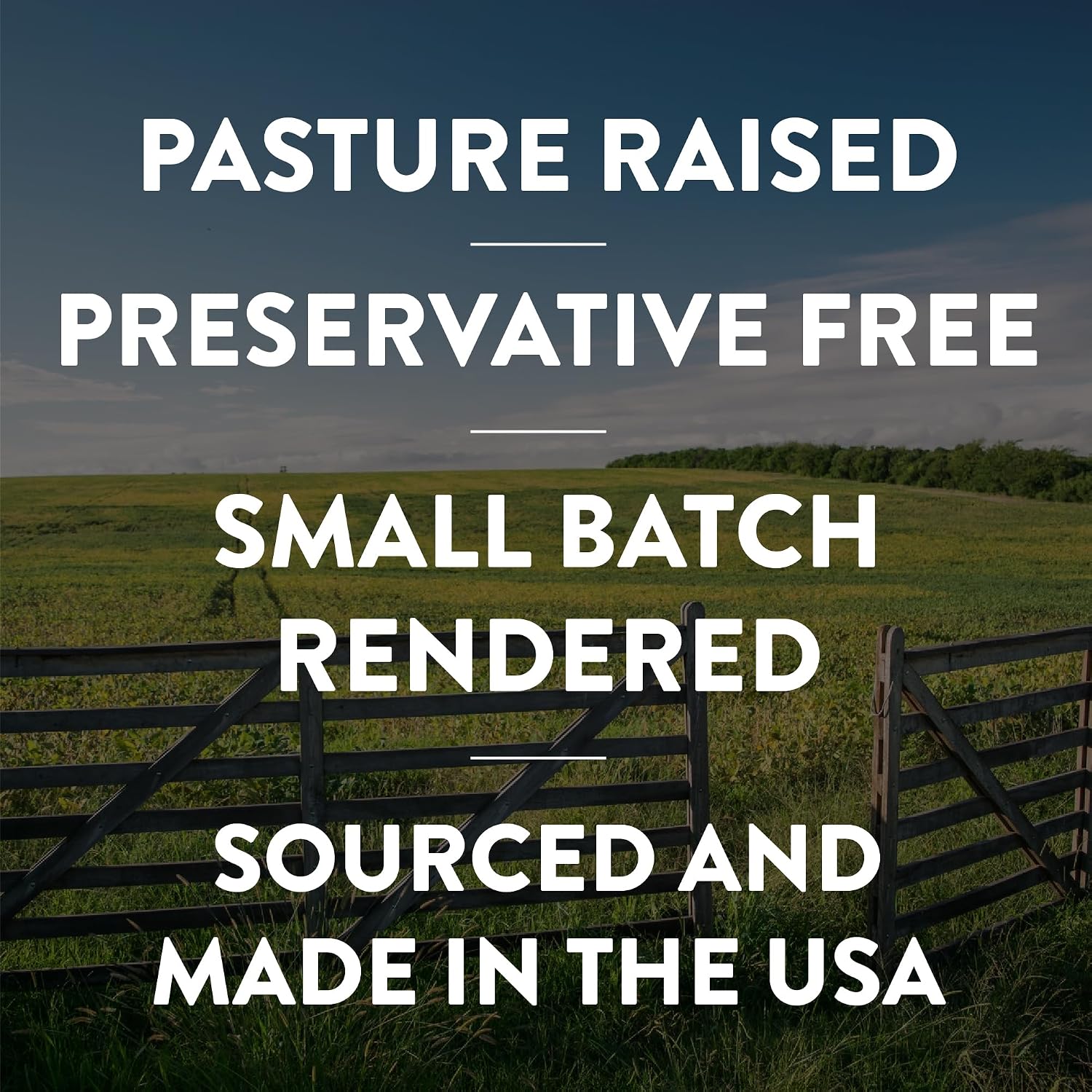 Fatworks Pasture Raised Leaf Lard for Baking, Baker's Lard, 14 oz | Artisanally Rendered, Traditional & Gourmet Baking, Sauteeing, Frying, WHOLE30 APPROVED, KETO, PALEO