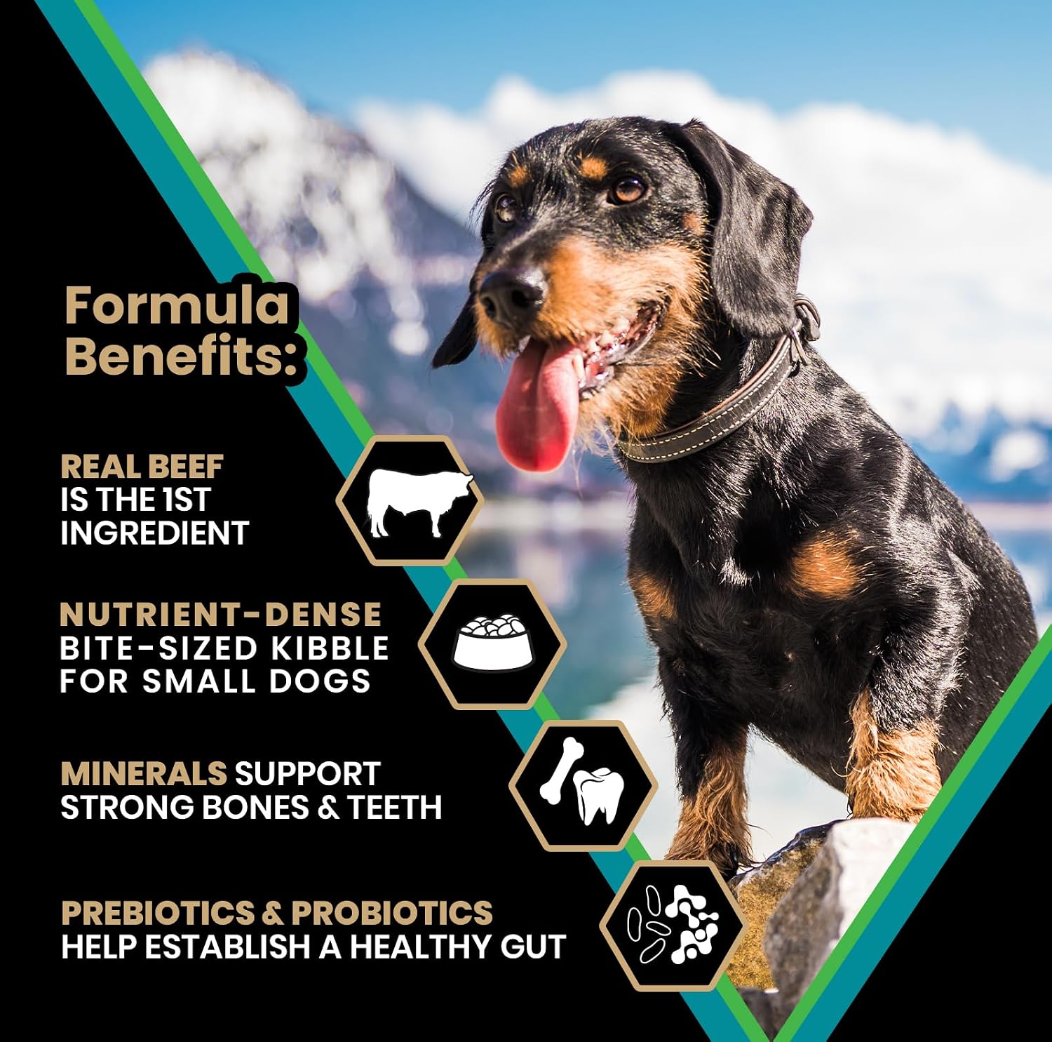 VICTOR Hi-Pro Plus Dry Dog Food - High Protein Gluten Free Dry Kibble, 5lb | Super Premium Dog Food, 30% Protein, Beef, Chicken, Pork and Fish Meals, For High Energy & Active Dogs & Puppies, 5lbs