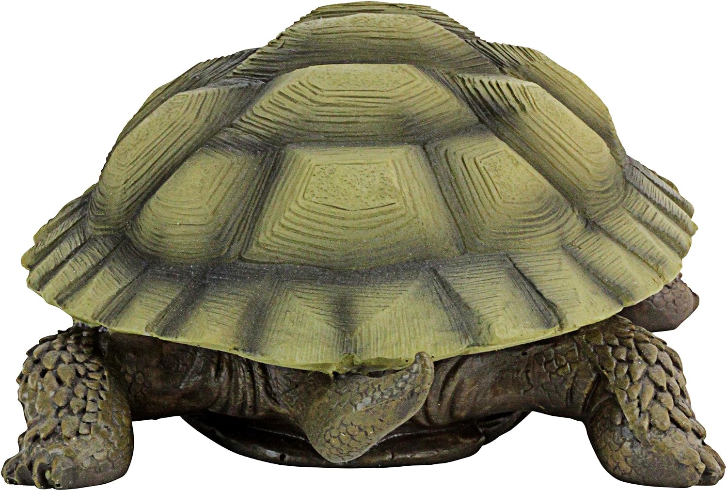 Design Toscano QM1887611 Gilbert the Box Turtle Garden Decor Animal Statue, 9 Inch, Full Color