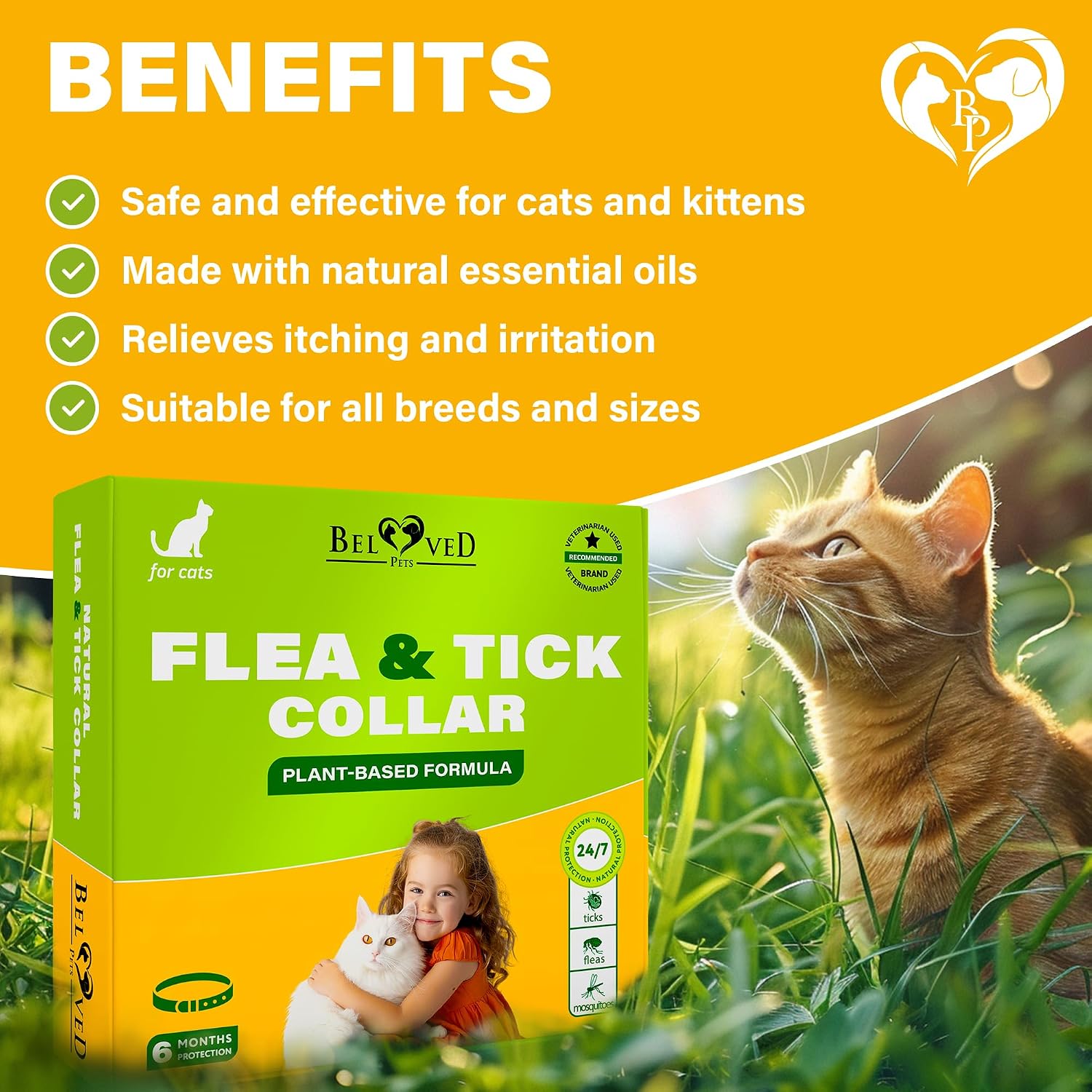Natural Flea & Tick Collar for Cats - 6 Months Control of Best Prevention & Safe Treatment - Anti Fleas and Ticks Essential Oil Repellent (1 Pack)