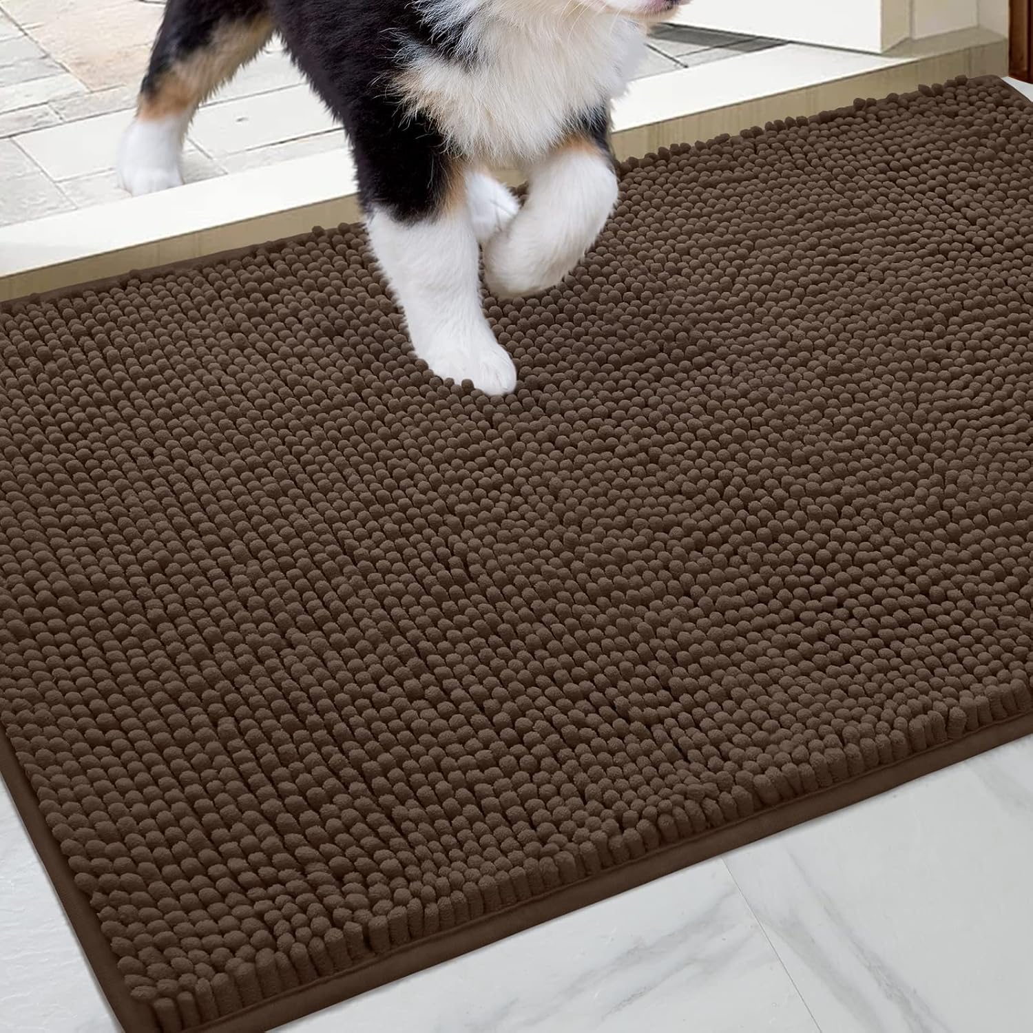 HOMEIDEAS Dog Door Mat for Muddy Paws 30x20, Absorbs Moisture and Dirt, Non-Slip Washable Doormat, Soft Chenille Mud Mat for Dogs