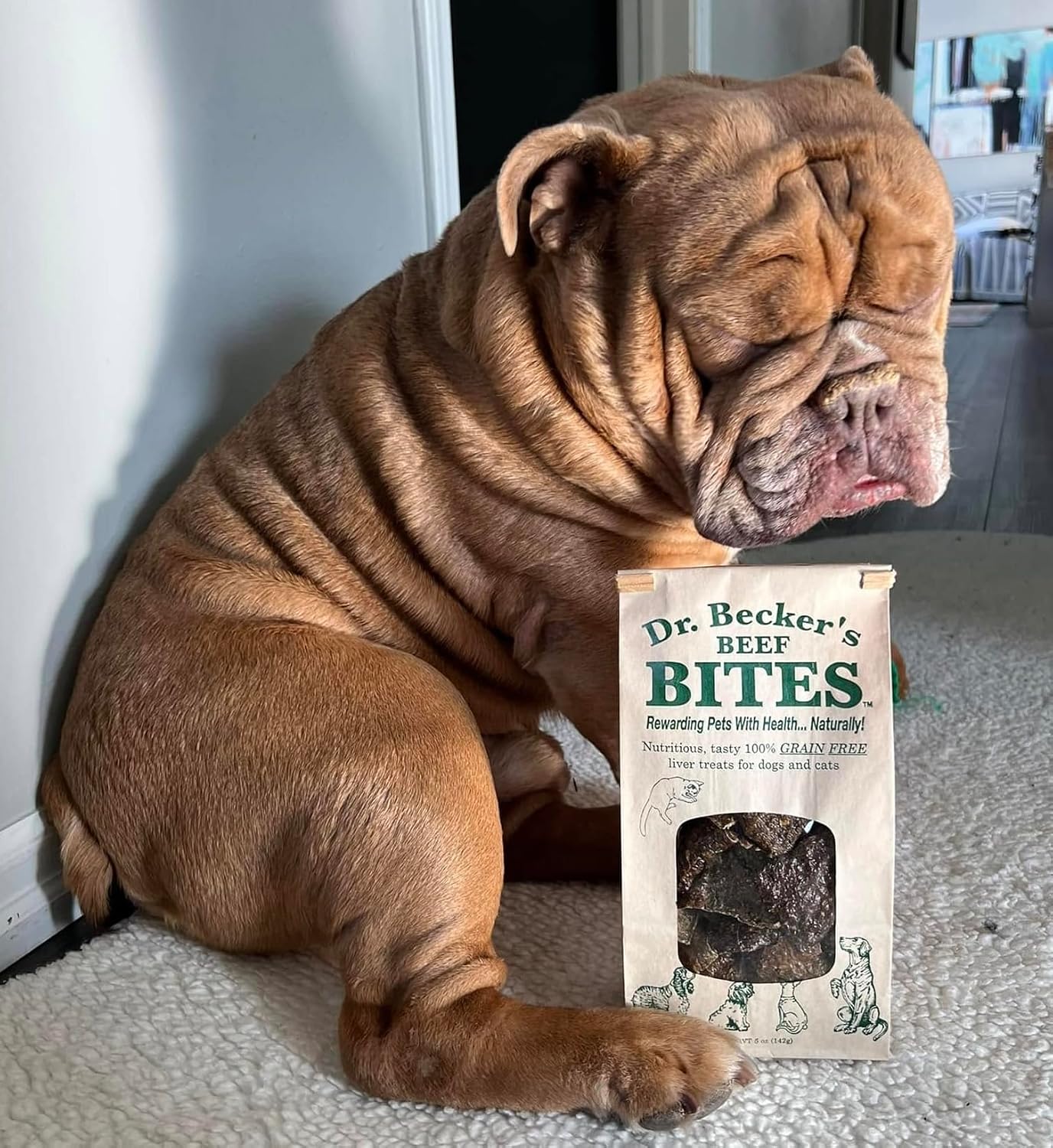 Dr. Becker's Original Beef Bites | Grain Free Liver Training Treats for Dogs & Cats, 5 oz (Pack of 3)