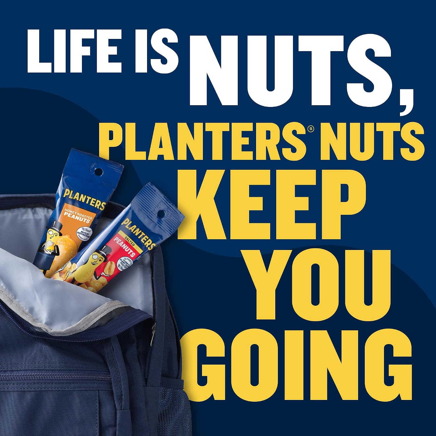 PLANTERS Salted Peanuts, Plant Based Protein Snacks, 1 Oz (48 Ct) | Roasted Salted Nuts Snack Packs. Kosher. Bag. Snacks for Adults. Individual Snacks