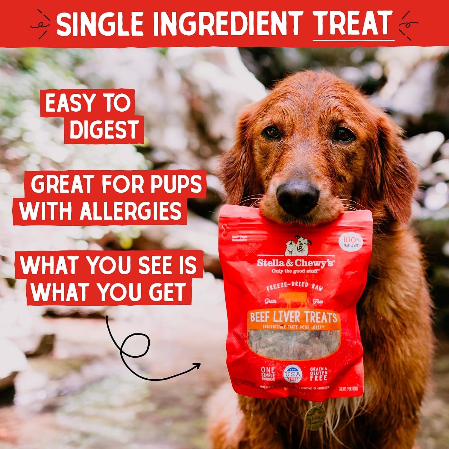 Stella & Chewy's Freeze-Dried Raw Lamb Heart Dog Treats - Single Ingredient, No Additives - Premium Training Treats - Perfect For Picky Eaters - 3oz Bag