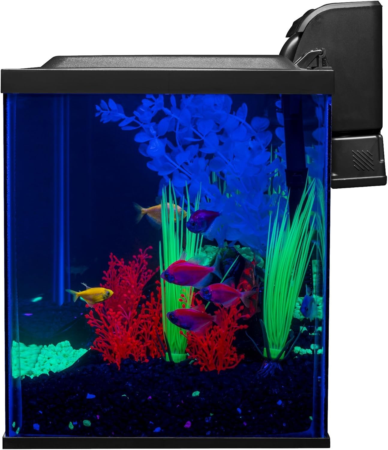GloFish Crescent aquarium Kit 3 Gallons, Includes Hidden Blue LED Light And Internal Filter