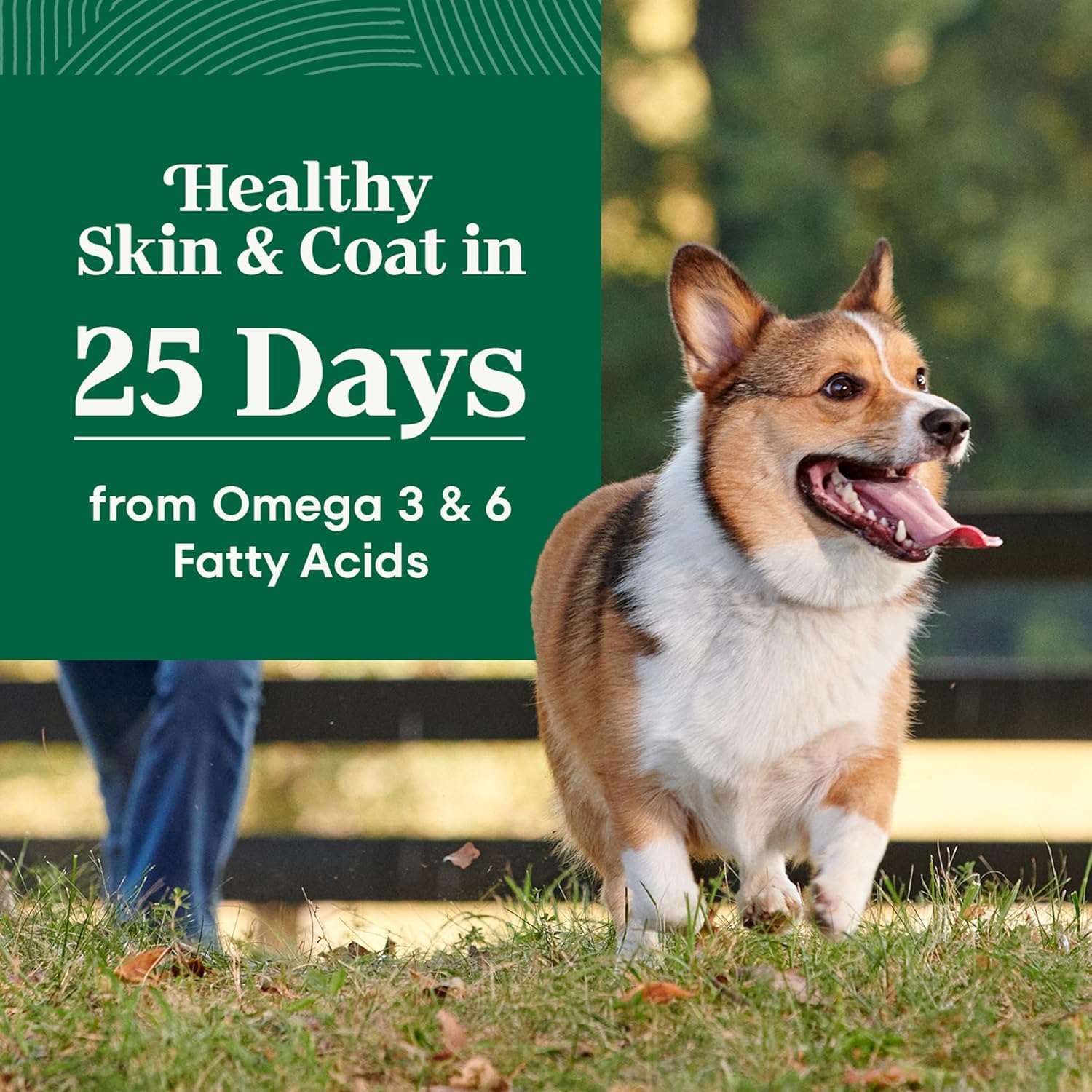 Nutro Natural Choice Small Breed Dry Dog Food, Chicken & Rice, 5 lb | Non-GMO, Real chicken #1 ingredient, no corn, wheat, soy, Omega-3 & 6 for soft shiny coat, supports energy, bones & muscles