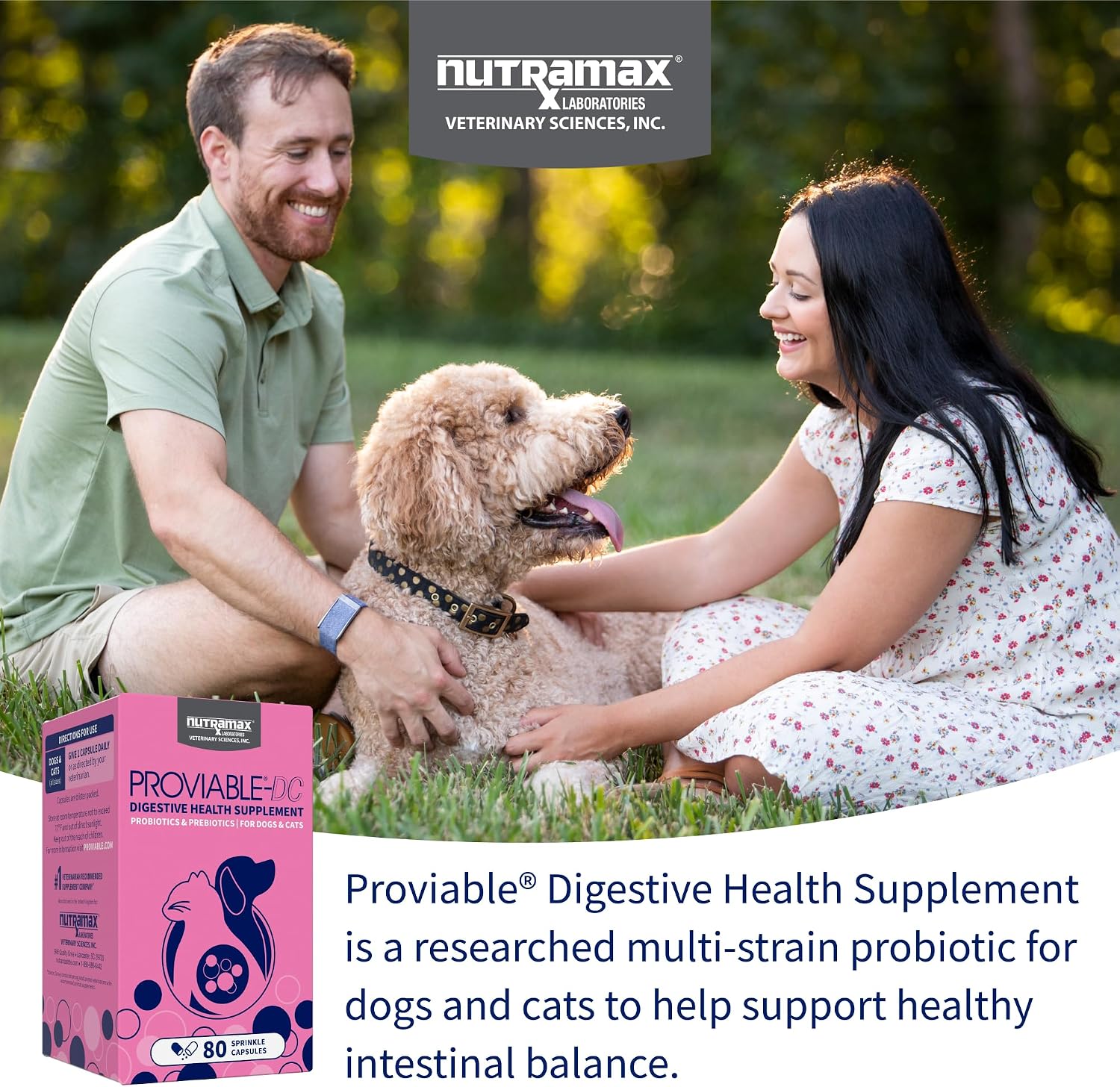 Nutramax Proviable Probiotics + Prebiotics, for Dogs & Cats, Capsules, 80ct | Probiotics and Prebiotics for Cats and Dogs, Daily Gut Health Support Supplement, Multiple Strains, Sprinkle on Food