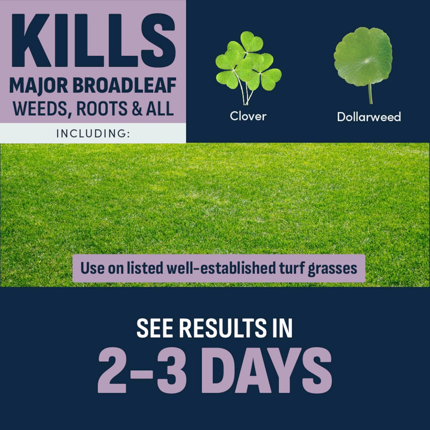 Image Herbicide Weed Killer for Southern Lawns RTS 32oz | Liquid weed killer, ready-to-spray, for St. Augustinegrass, Bermudagrass, Zoysiagrass