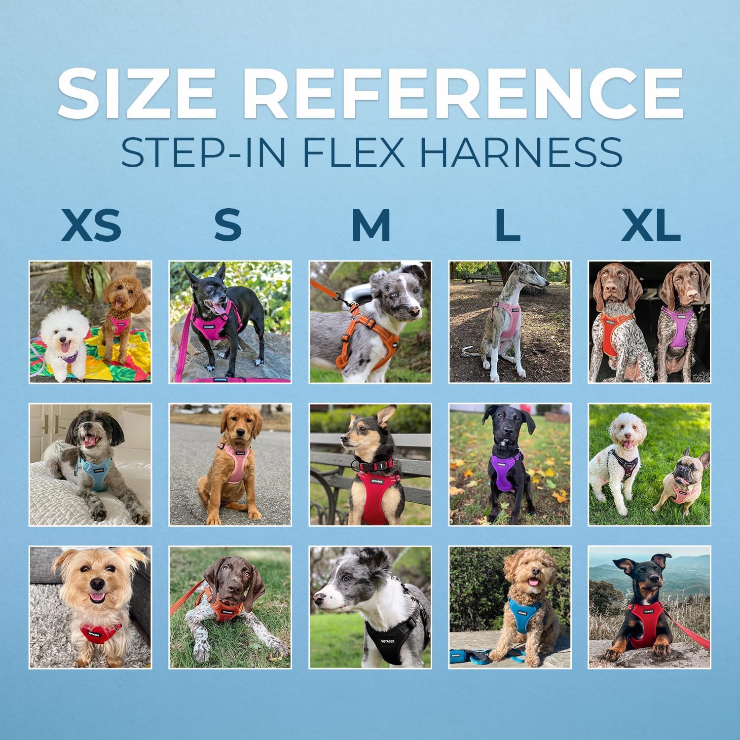 Voyager Step-in Flex Adjustable Dog Harness - Black, Medium | 17 - 21" in Chest, Fully Adjustable, Reflective Bands, All Weather Breathable Air Mesh, Lightweight, Fast Drying