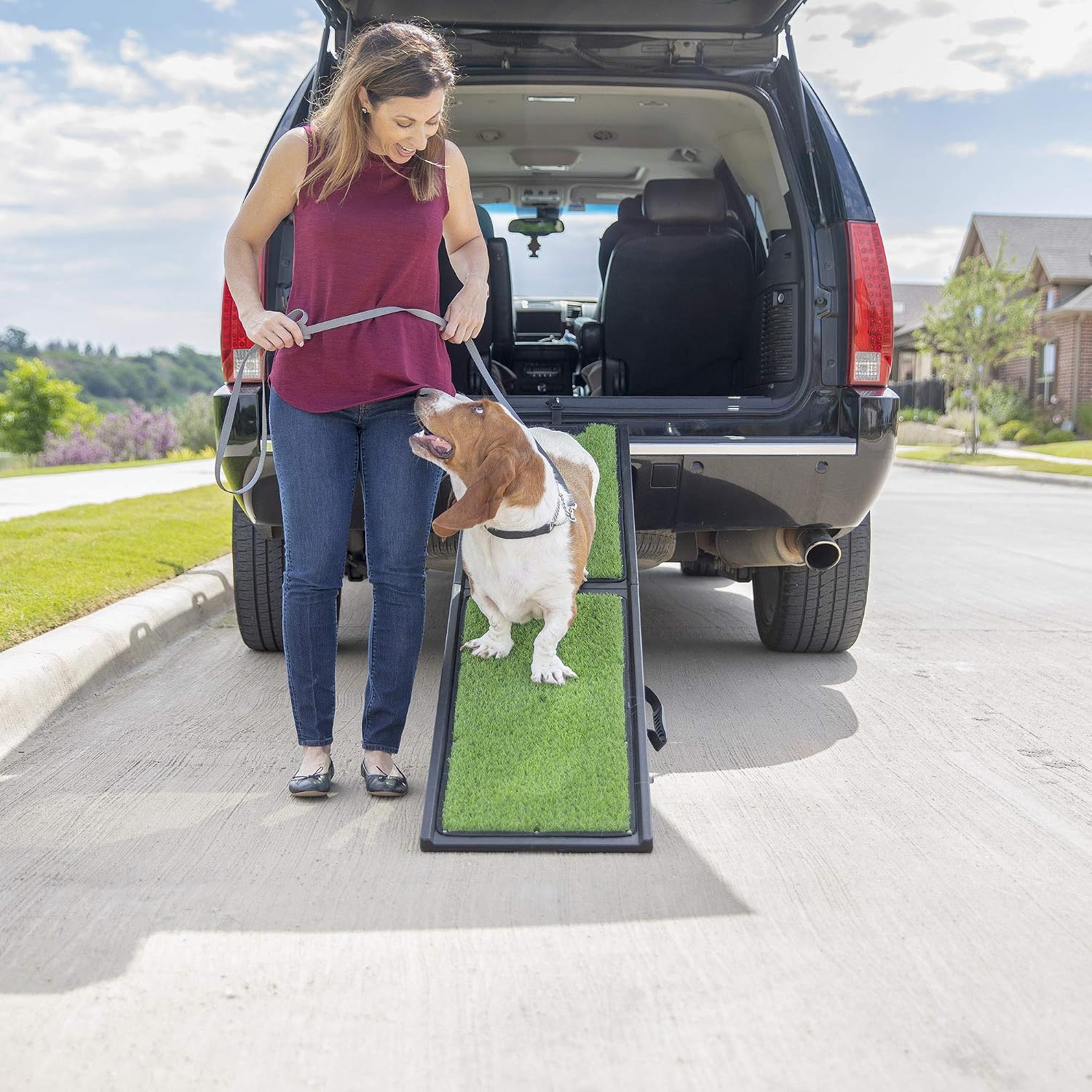 Gen7Pets Natural Step Ramp for Vehicles, 72 Inch