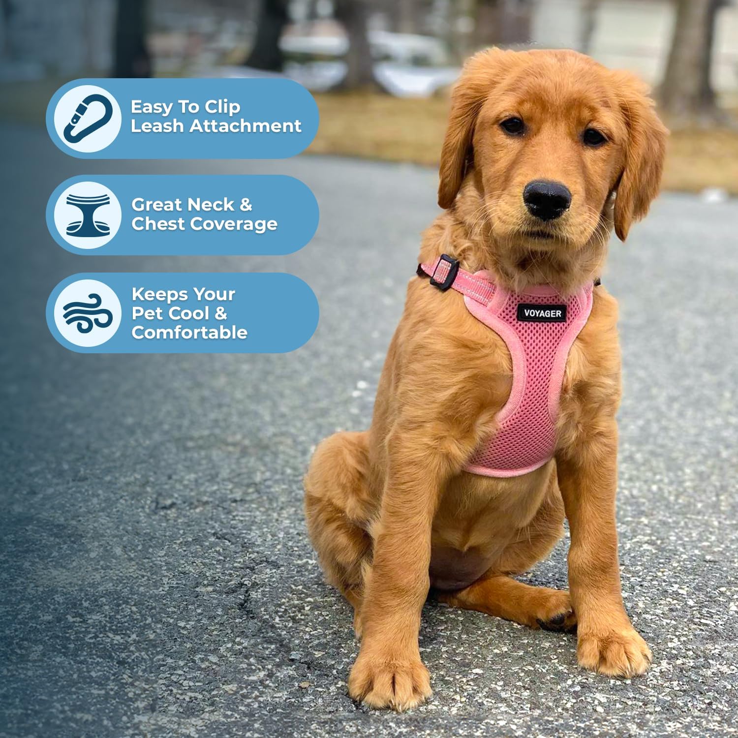 Voyager Step-in Flex Adjustable Dog Harness - Black, Medium | 17 - 21" in Chest, Fully Adjustable, Reflective Bands, All Weather Breathable Air Mesh, Lightweight, Fast Drying