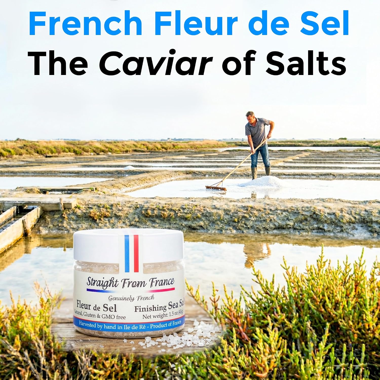 Straight from France Genuinely French Fleur De Sel Flaky Sea Salt | Finishing salt rich in minerals & electrolytes, flaky sea salt for baking and seasoning dishes, hand harvested, 1.5oz jar