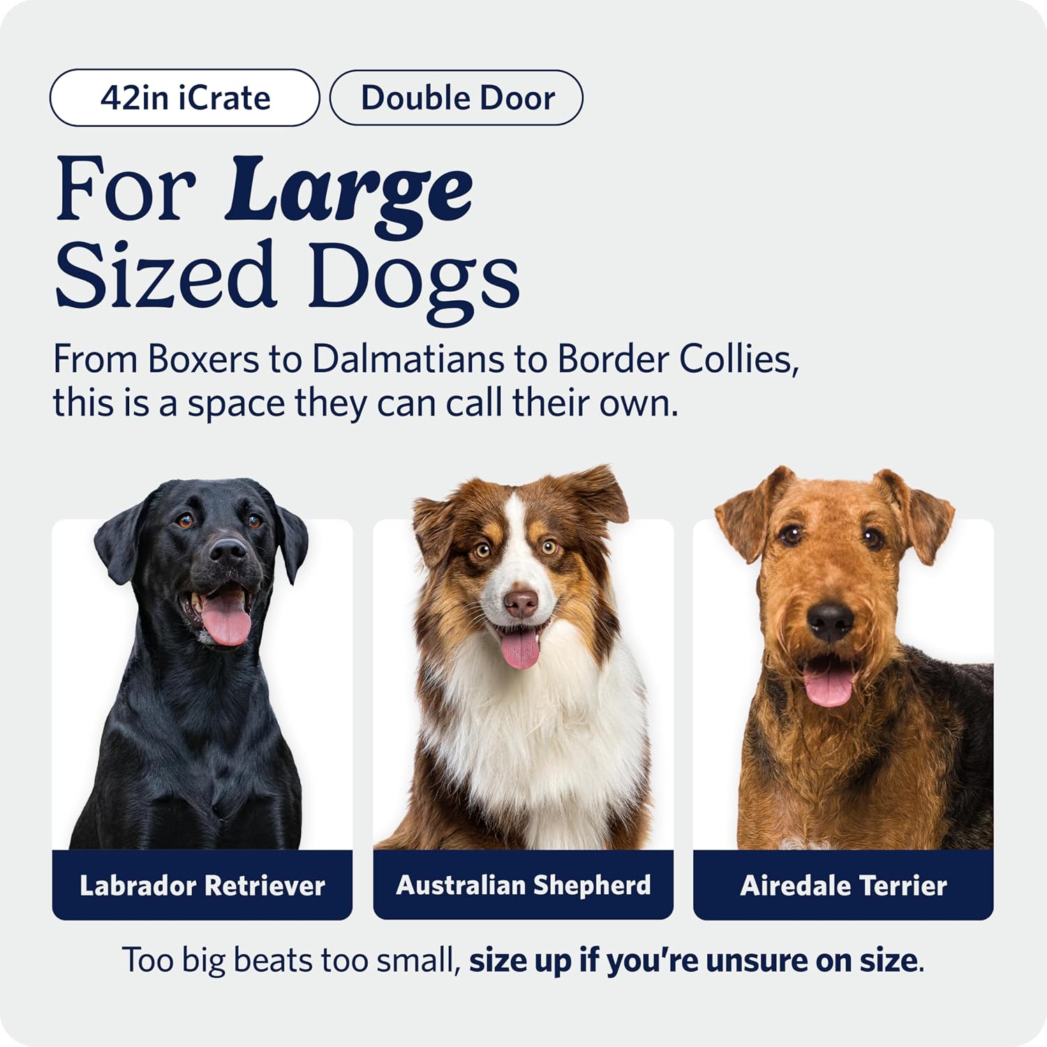 MidWest Homes for Pets 48-Inch iCrate for Extra-Large Breeds, 90-110 lbs, Single Door Folding Dog Crate with Divider Panel, Leak-Proof Tray & Secure Latches, Portable, Durable & Easy to Assemble