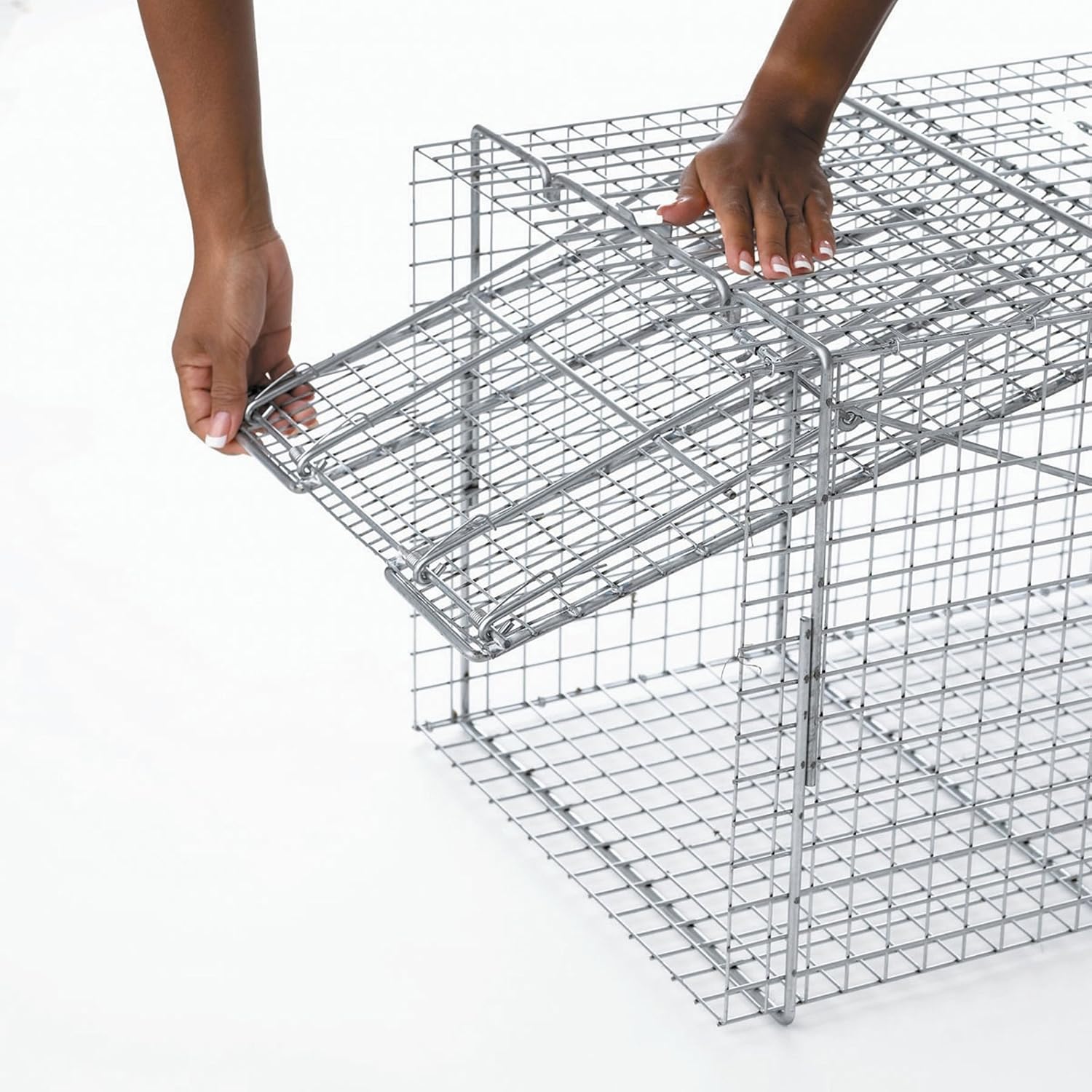 Havahart X-Large 1-Door Humane Animal Trap for Armadillos, Beavers, Bobcats, Cats, Dogs, Foxes, Groundhogs, Opossums, Racoons