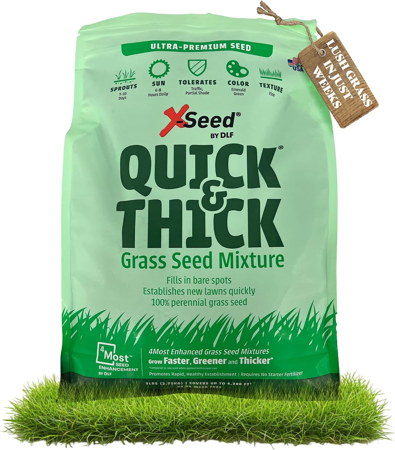 X-Seed Ultra Premium Quick and Thick Lawn Seed Mixture – Rapid Germination for Any Lawn, Dense Coverage in Sun to Shade, High-Traffic Areas, Fescue, Kentucky Blue, & Perennial Ryegrass Blend, 3lb Bag