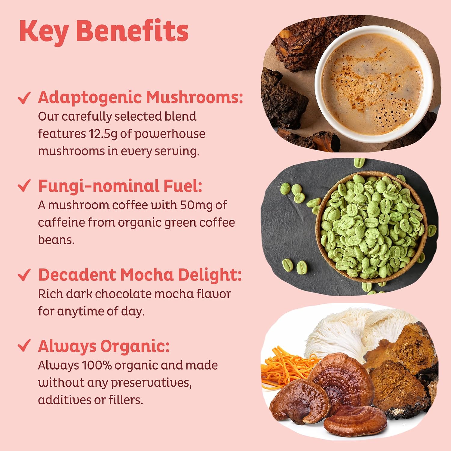 KOS Mushroom Coffee - USDA Certified Organic - Dark Chocolate Mocha Flavor - Mushroom Coffee Latte Powder with Reishi, Cordyceps, Lion's Mane