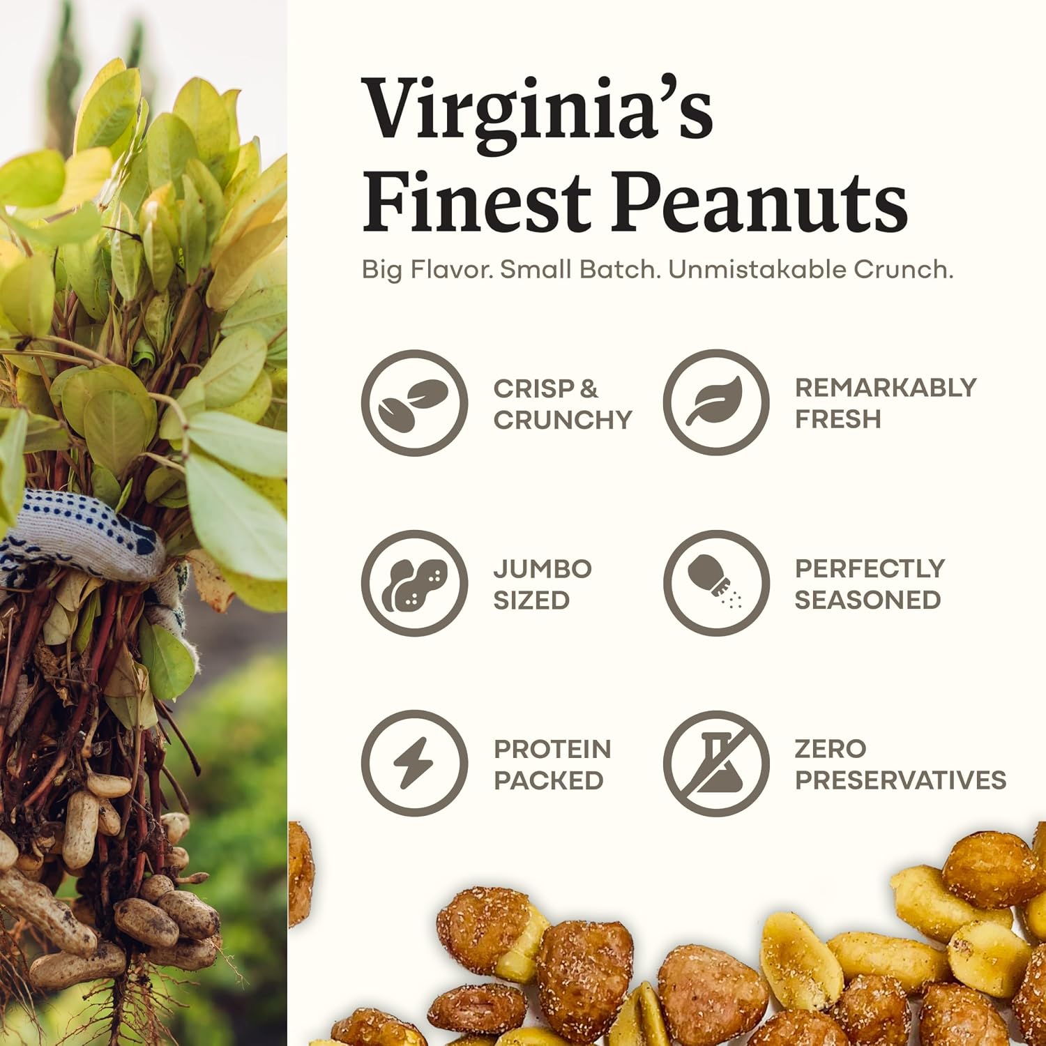 Belmont Peanuts Gourmet Sea-Salted Virginia Peanuts, 20 oz (1 Pack) – Only 3 Simple Ingredients, No Preservatives, 7g Protein – A Premium, Salty, Crunchy, Hand Seasoned Snack