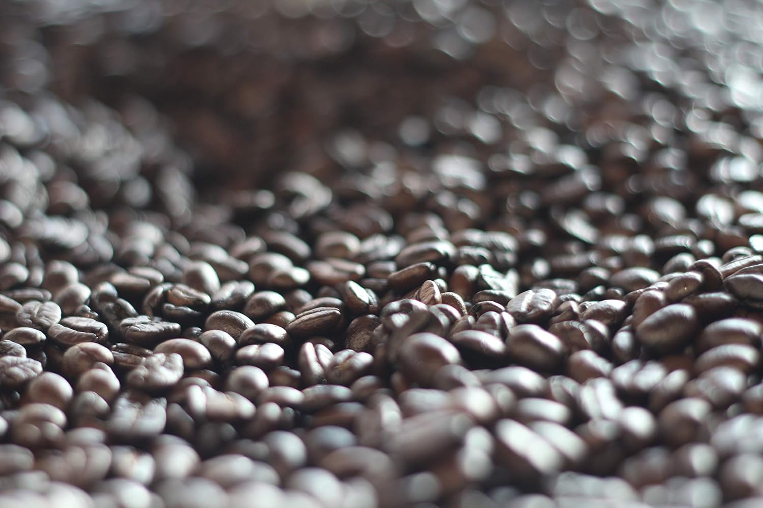 Lee's Coffee Exclusive Whole Bean Coffee, French Roast, 12 Ounce