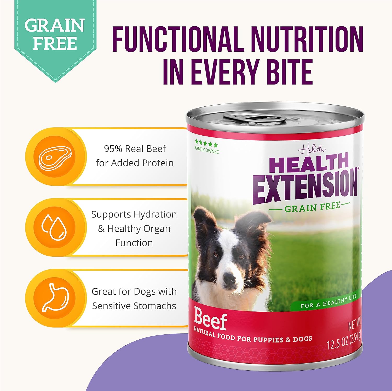 Health Extension 95% Beef Grain-Free Wet Dog Food, High Protein Recipe, Limited Ingredients, Picky Eaters, Ideal for Sensitive Stomachs 5.5 oz (Case of 24)