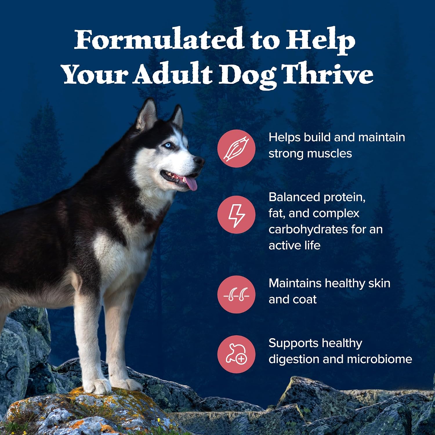 Blue Buffalo Wilderness Chicken Adult Dry Dog Food, Grain-Free, 24 lb | 39g Protein, Real Chicken #1 Ingredient, Supports Immunity with Antioxidant-Rich LifeSource Bits, Promotes Healthy Muscles