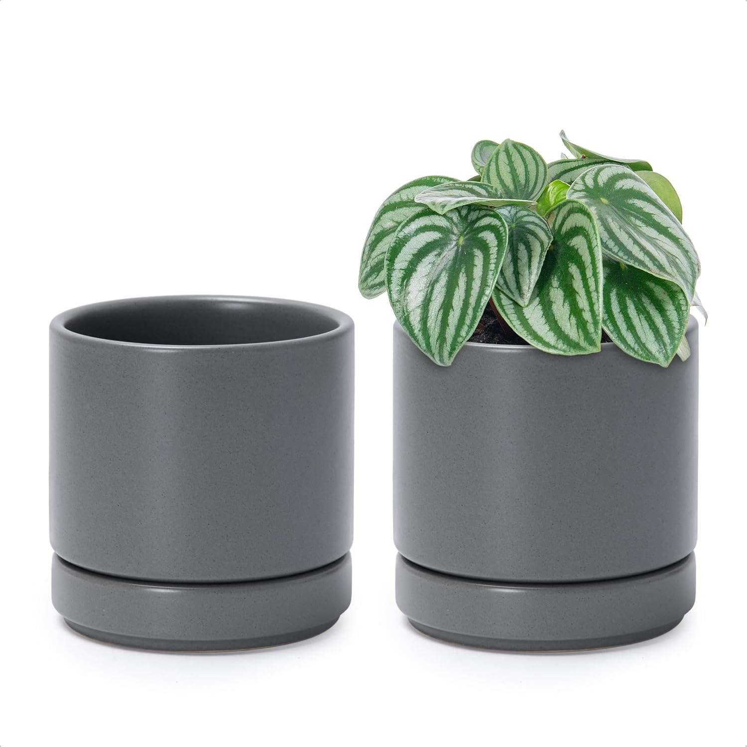 D'vine Dev 2-Pack Ceramic Pots with Saucers, White/Grey, 4.7 in, 94-V-B-6