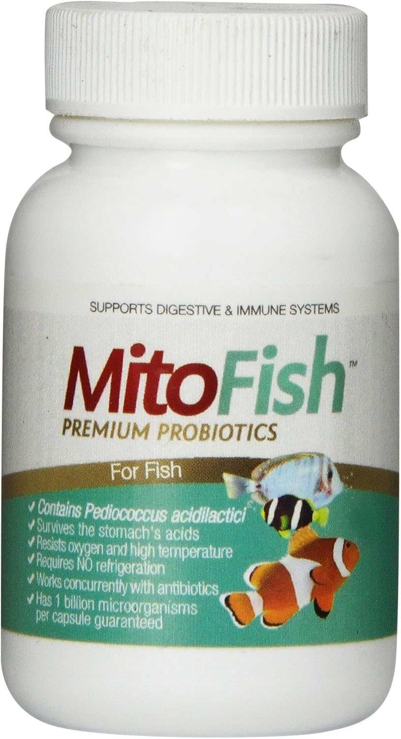 MitoFish Premium Pediococcus Based Probiotics and Prebiotics for Fish, 15 Capsules Per Bottle