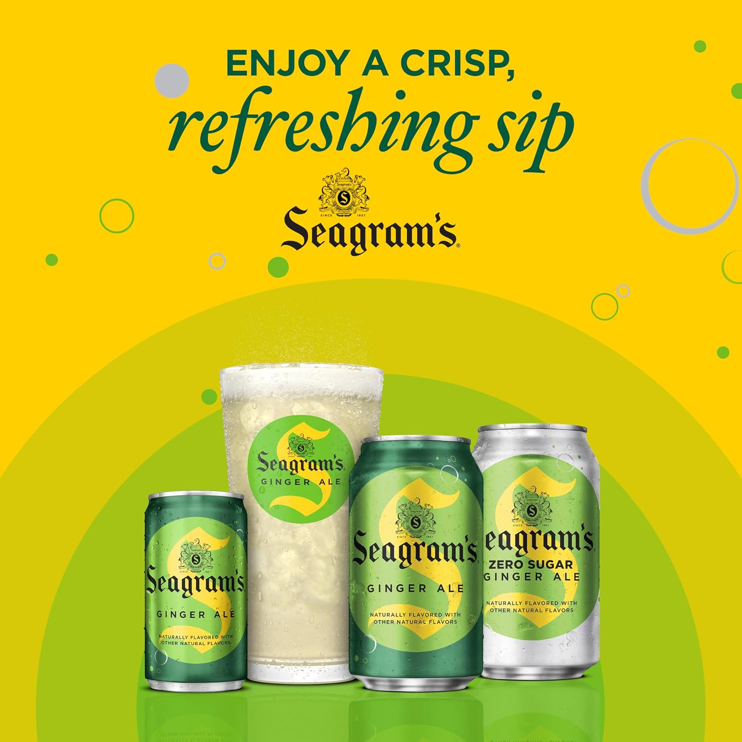Seagram's Ginger Ale, 12 fl oz, 12 Pack