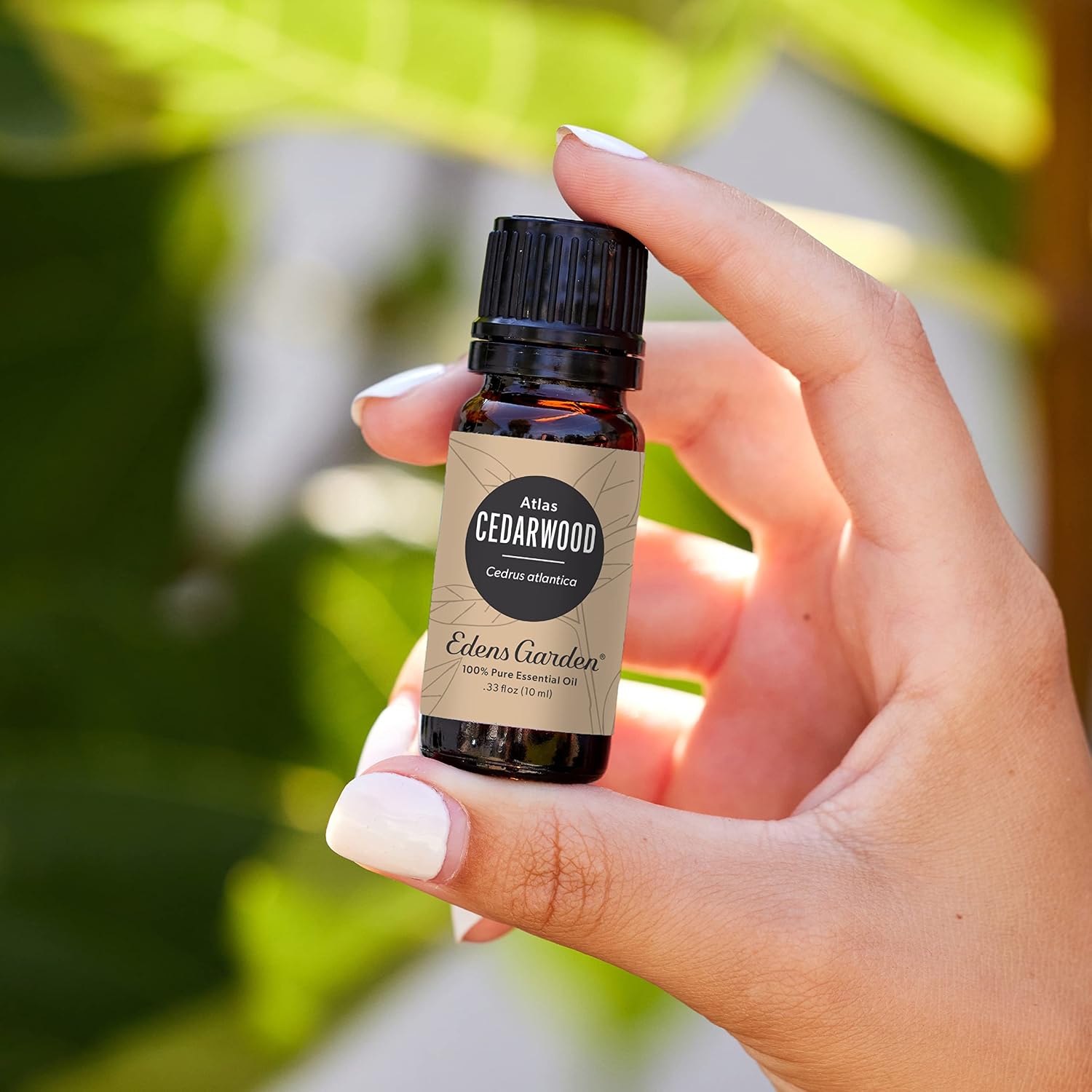 Edens Garden Cedarwood-Texas Essential Oil- 100% Pure 10 ml (.33 fl oz)