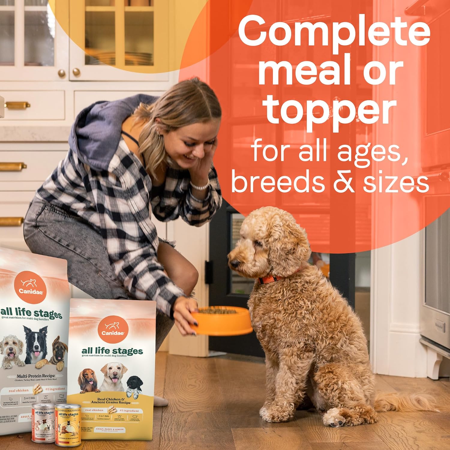 Canidae All Life Stages Premium Wet Dog Food for All Breeds, All Ages, Chicken & Rice Recipe, 13 oz. (Case of 12)