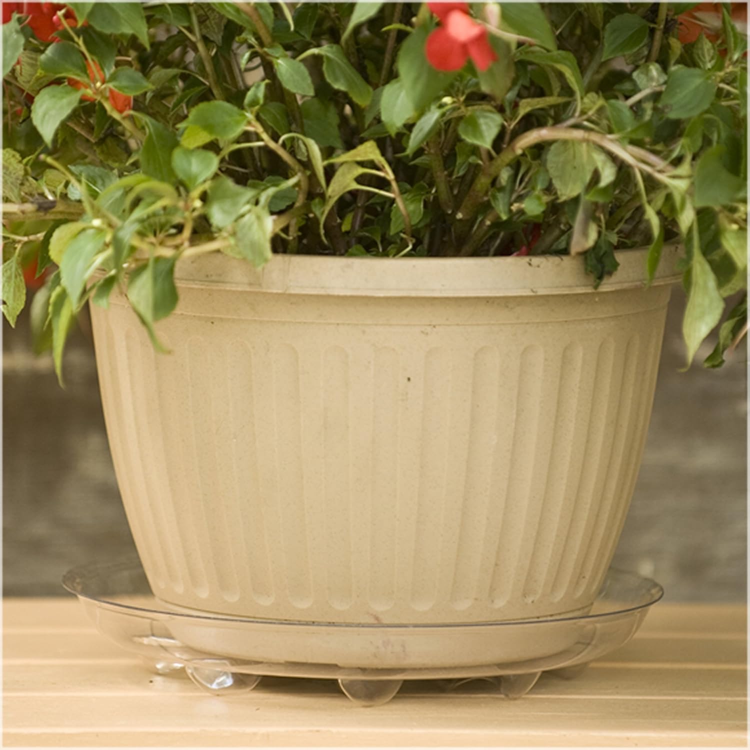 Gardener's Blue Ribbon 16 Inch Saucer Plus SP16