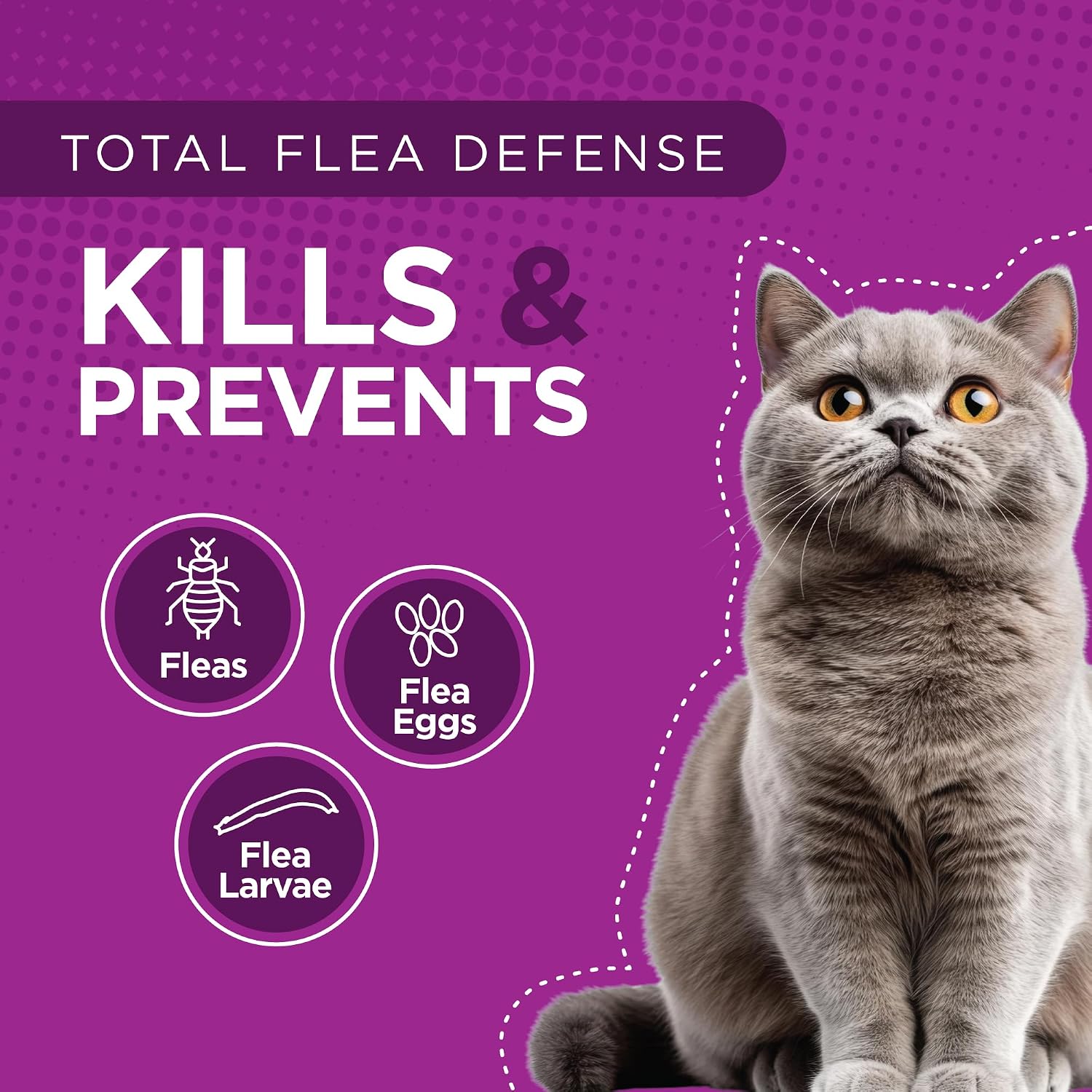 TevraPet Actispot II Flea Treatment for Small and Medium Cats 5-9 lbs | 6 Doses | Powerful Prevention and Control, Clear