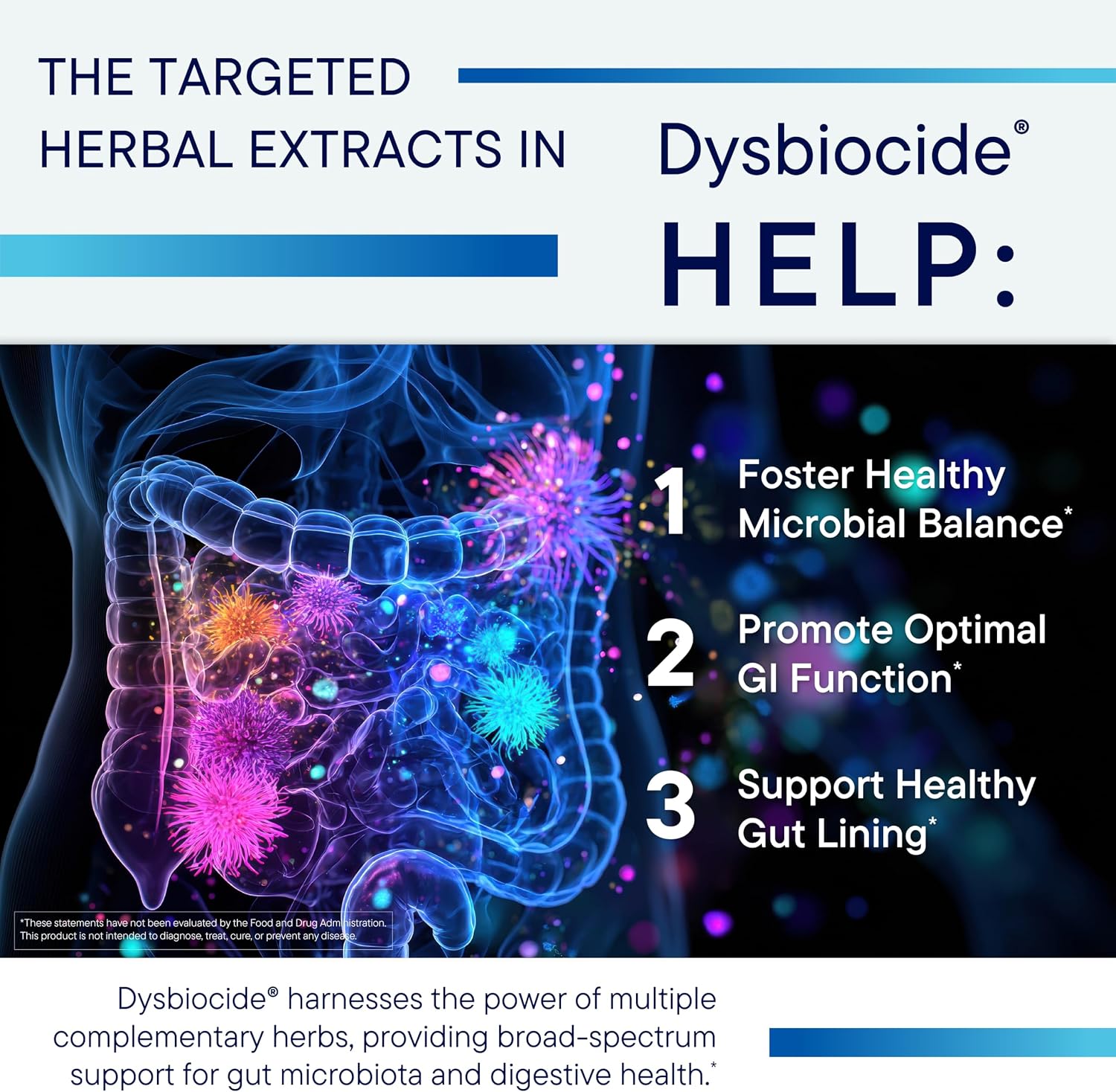 Biotics Research Dysbiocide Synergistic Botanical Blend Supports Normal Gut Health for Women & Men - Digestive Health Supplement - Supports Balanced