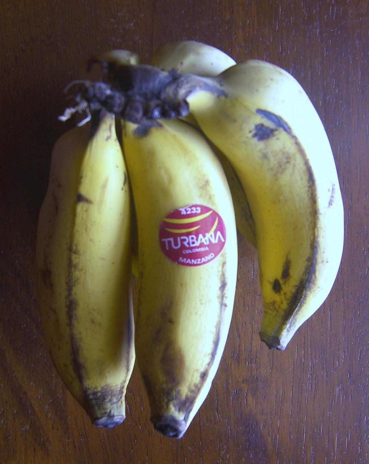 Manzano Apple Banana Plant ***Rare*** Live Manzano Apple Banana Tree