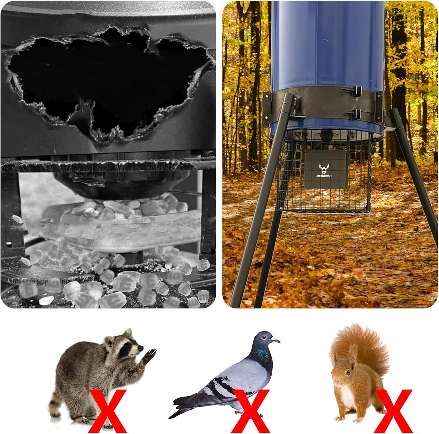 Highwild Varmint Cage Feeder Guard for 30 & 55 Gallon Barrels | Steel Feeder Protector Helps Keep Raccoons, Squirrels, Birds and Other Wildlife Away