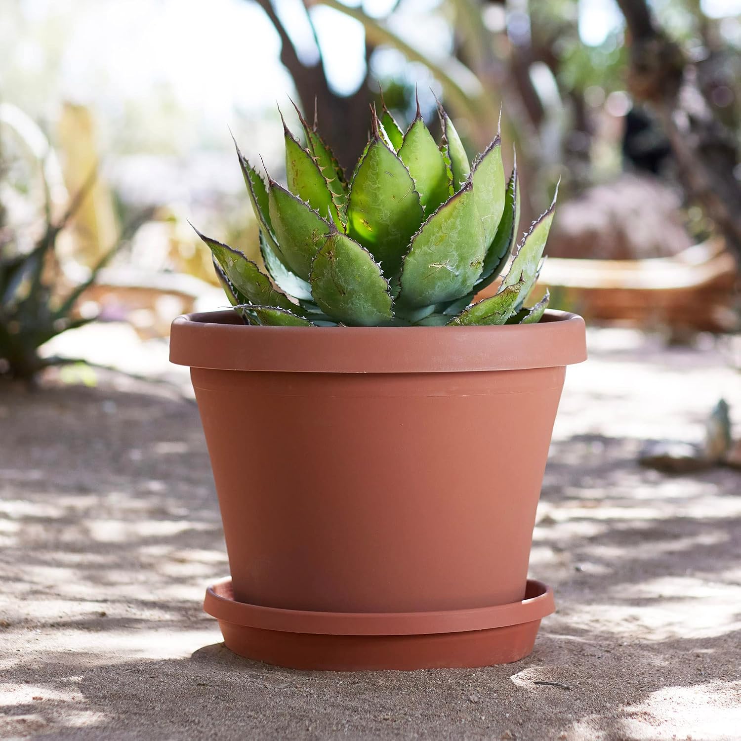 Bloem Terra Pot Planter: 16" - Terra Cotta - Durable Resin Pot, for Indoor and Outdoor Use, 8 Gallon Capacity, Saucer Sold Separately
