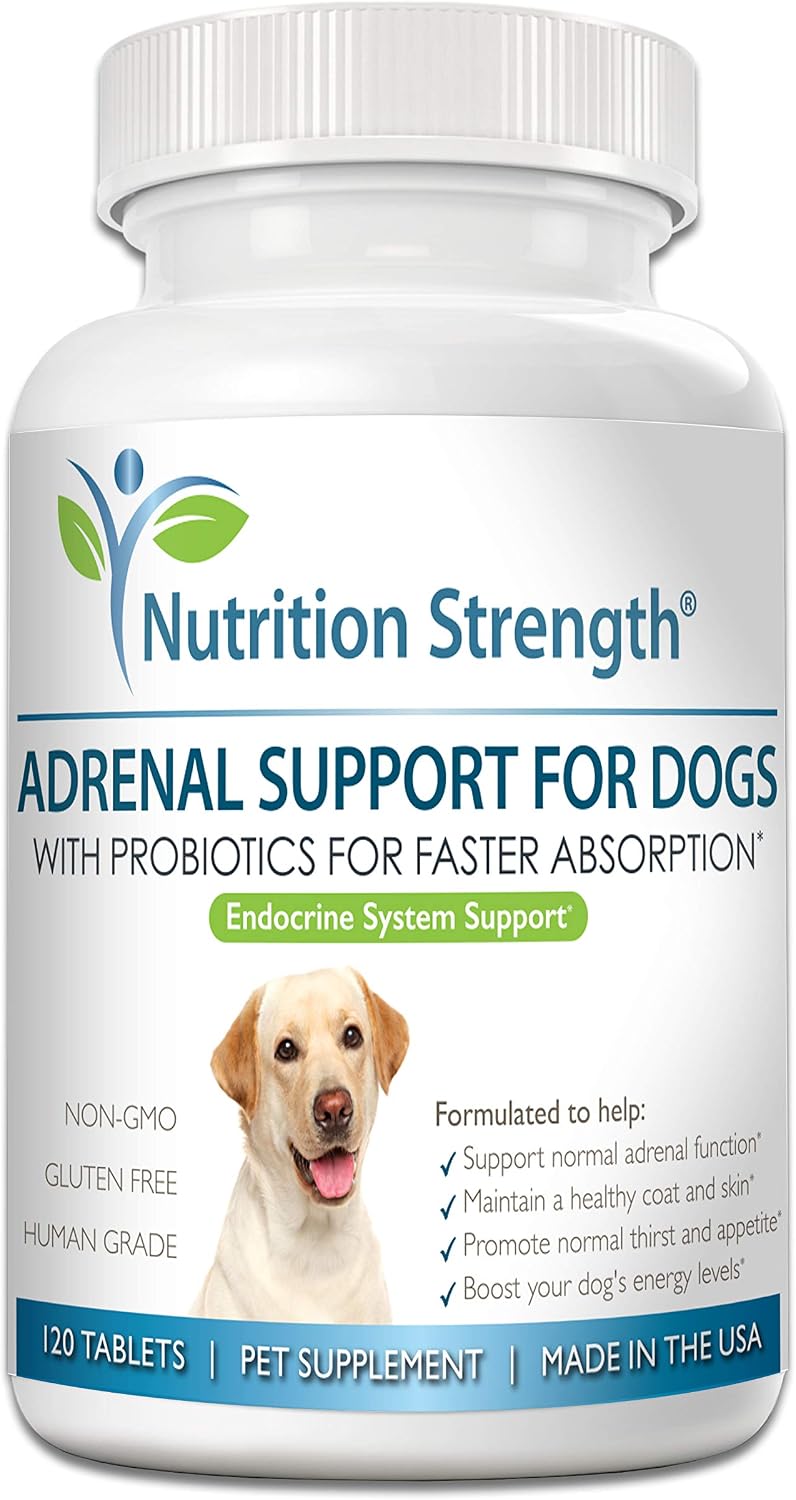 Adrenal Support for Dogs with Cushing's Disease | Maintain a Healthy Coat and Skin | Promote Normal Urination
