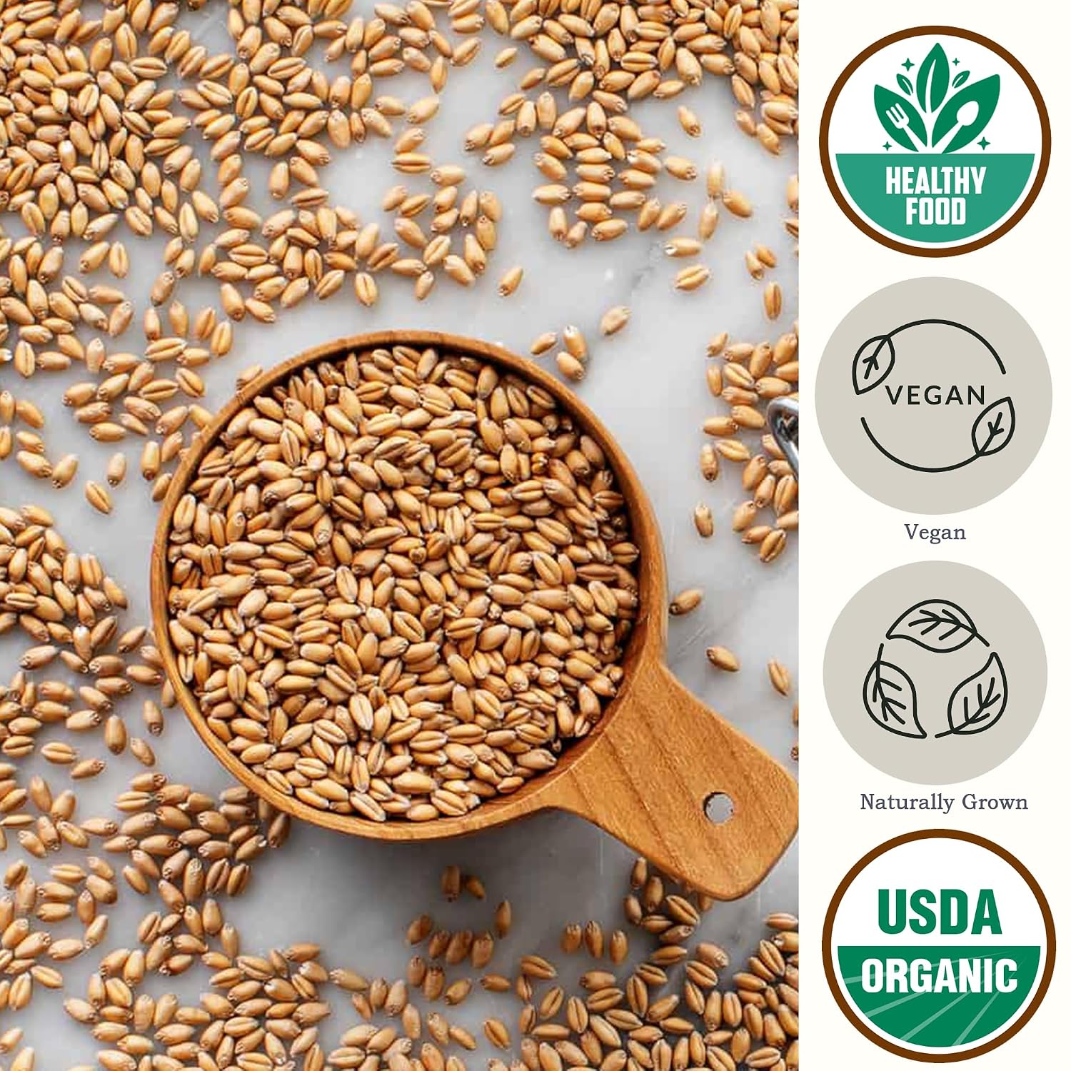 Organic Soft White Wheat Berries 5.8lb - Healthy Whole Grains Bulk | Ideal for Feeder Oats, Flour, Bread, Soup - High in Protein & Fiber - USA Grown | USDA Certified | Vegan | Non-GMO