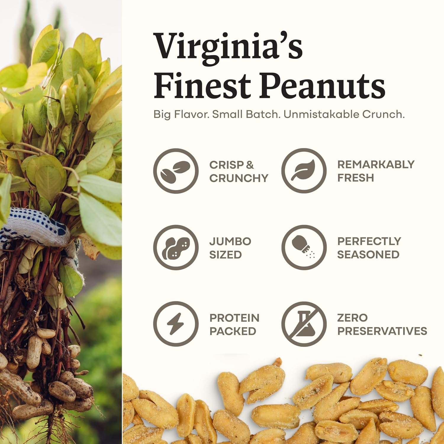 Belmont Peanuts Gourmet Sea-Salted Virginia Peanuts, 20 oz (1 Pack) – Only 3 Simple Ingredients, No Preservatives, 7g Protein – A Premium, Salty, Crunchy, Hand Seasoned Snack