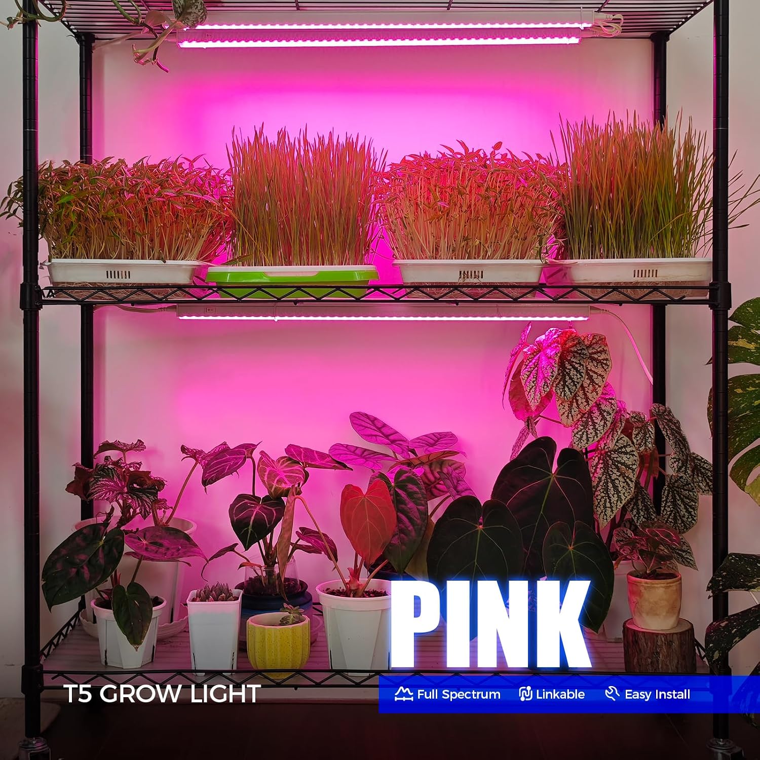 Barrina T5 Grow Lights for Indoor Plants, Full Spectrum, 2FT, 8 Packs
