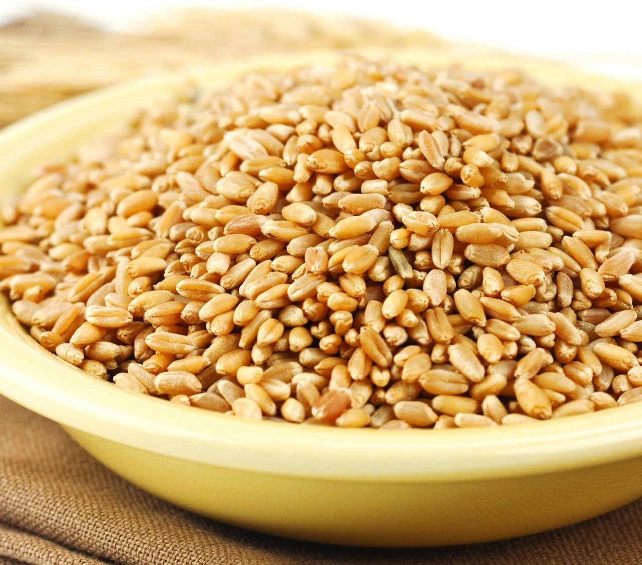 Wheat Montana Prairie Gold Hard White Spring Wheat Berries, 50 Lb. Bag
