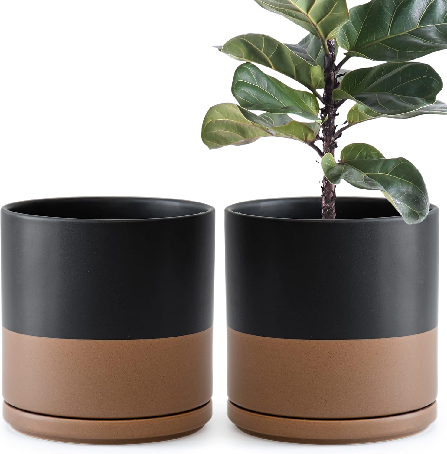 D'vine Dev 2-Pack Ceramic Pots with Saucers, White/Grey, 4.7 in, 94-V-B-6