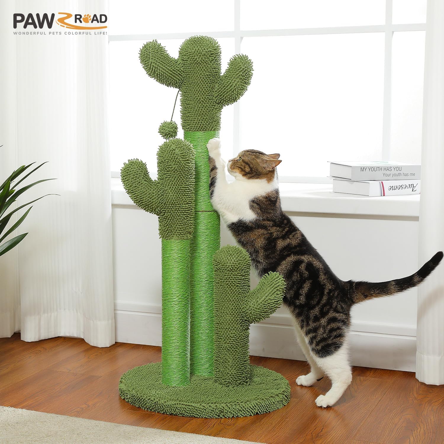 PAWZ Road Cactus Cat Scratching Post 23”Cat Scratcher with Toy Ball